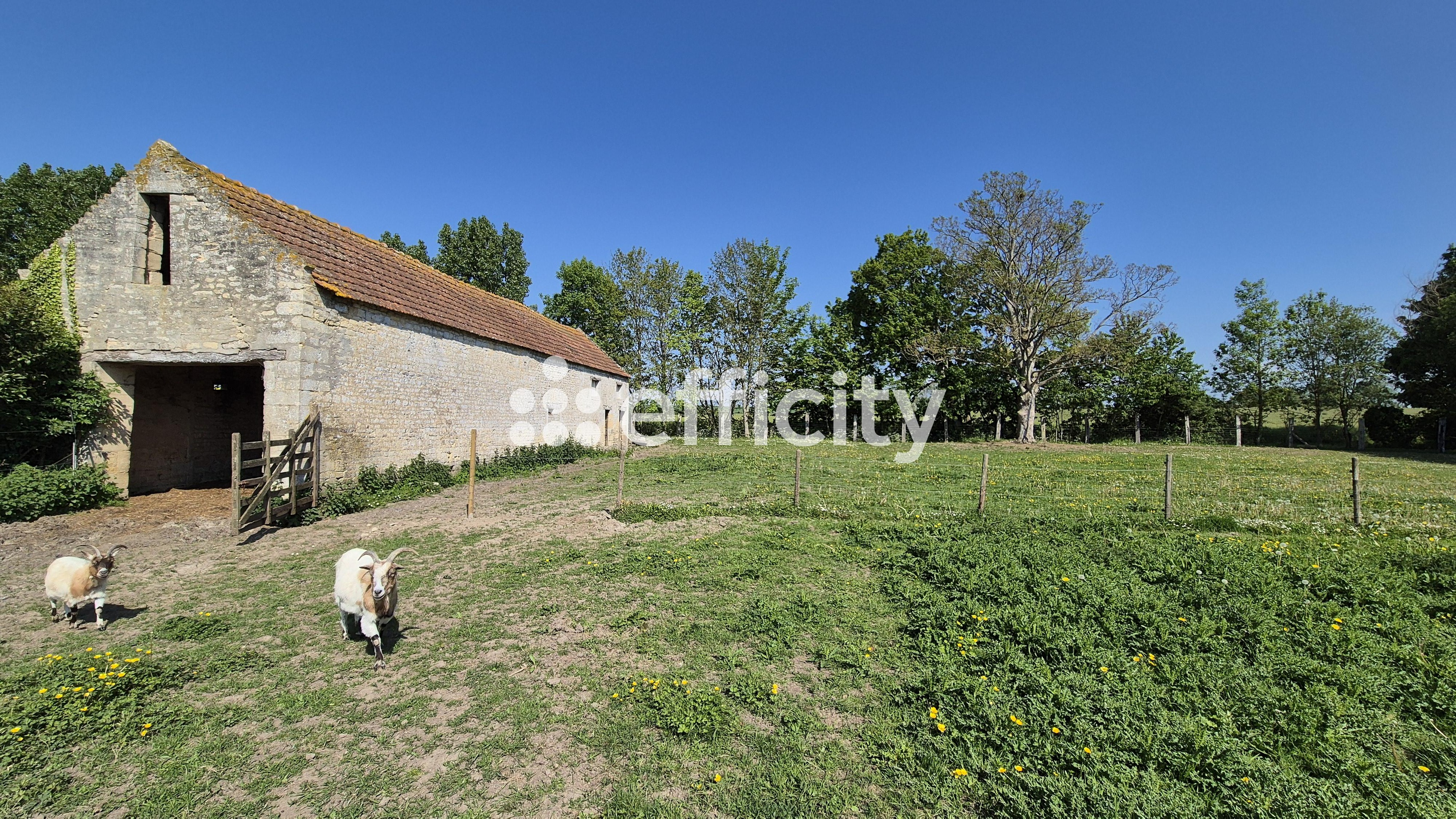 Achat immobilier Maison 17 pièces  537m2 à Moulins-en-Bessin (14480) - Photo n°44