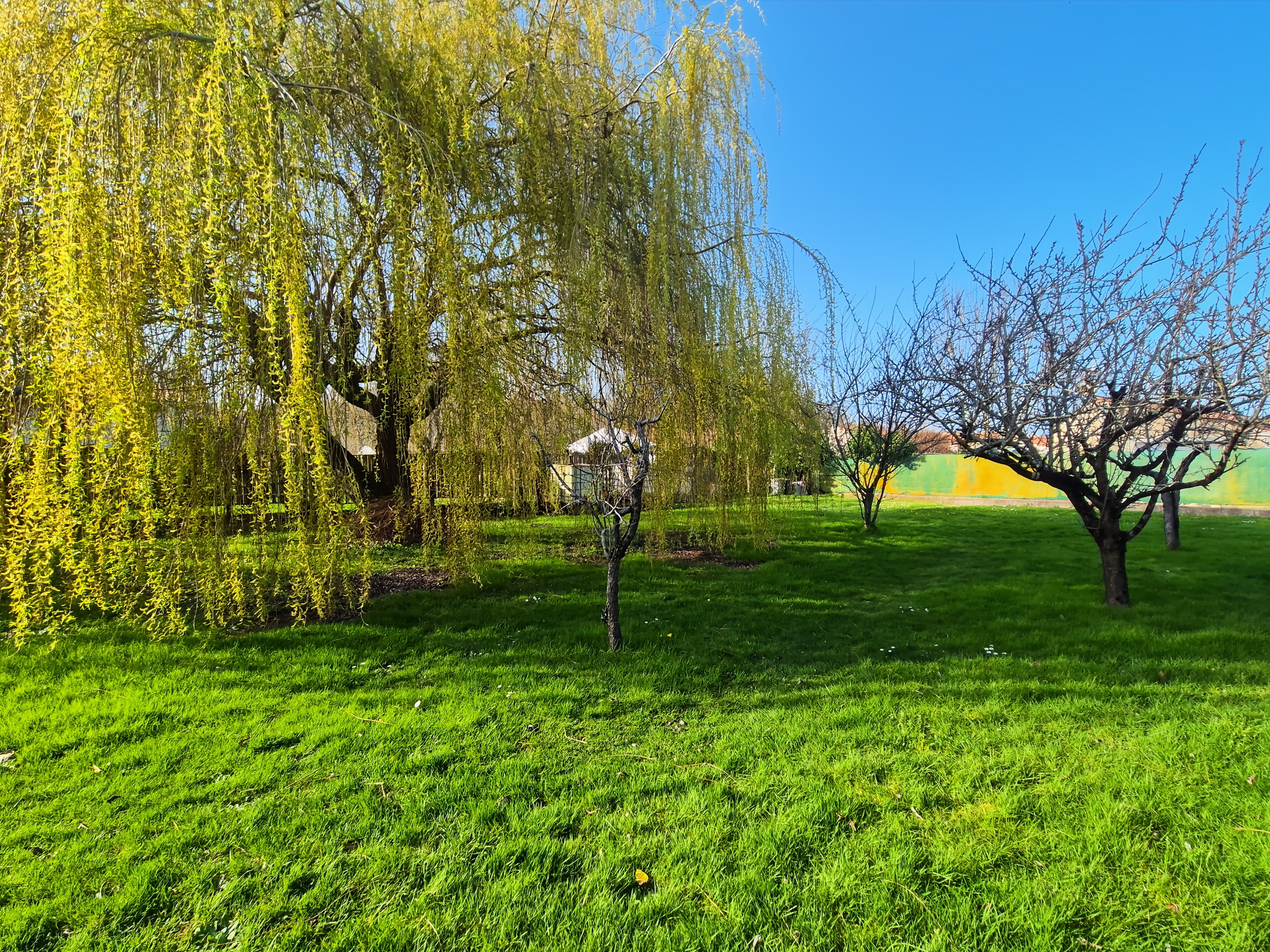 Achat immobilier Maison 4 pièces  82m2 à Breuil-Magné (17870) - Photo n°10