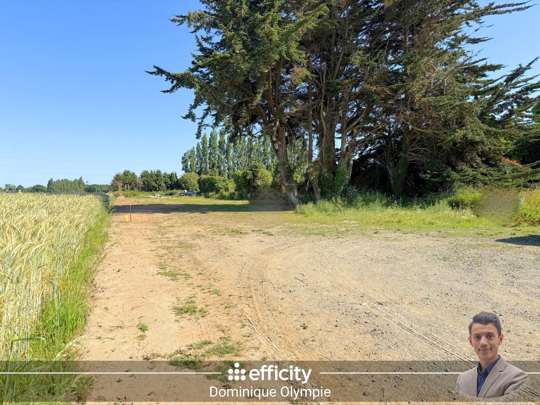 Achat immobilier Maison 7 pièces  160m2 à Pordic (22590) - Photo n°16