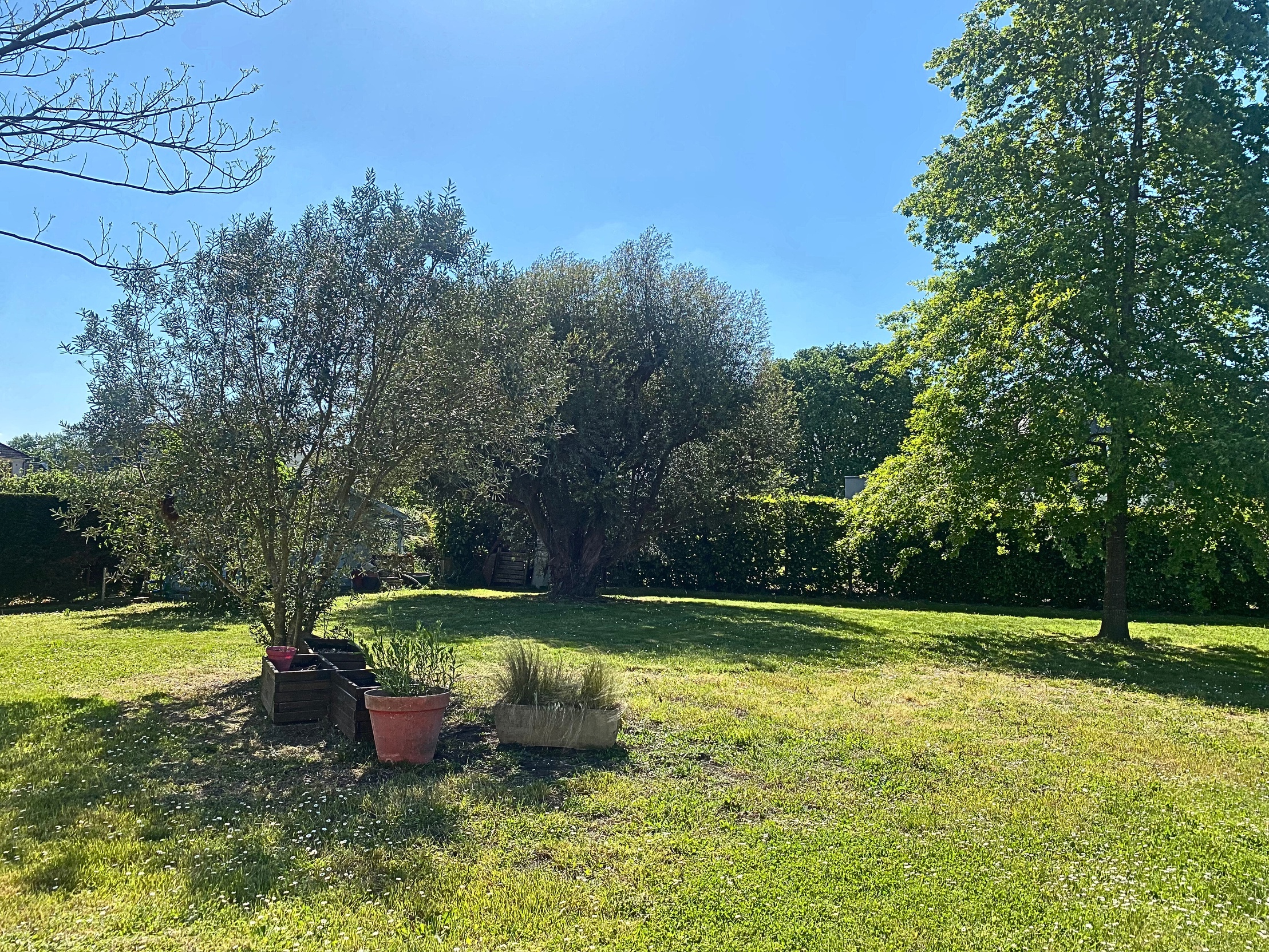 maison 6 pièces - 140m2 à Monts (37260)