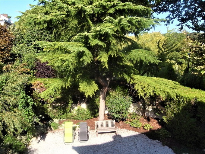 Achat immobilier Maison 6 pièces  225m2 à Villefontaine (38090) - Photo n°13