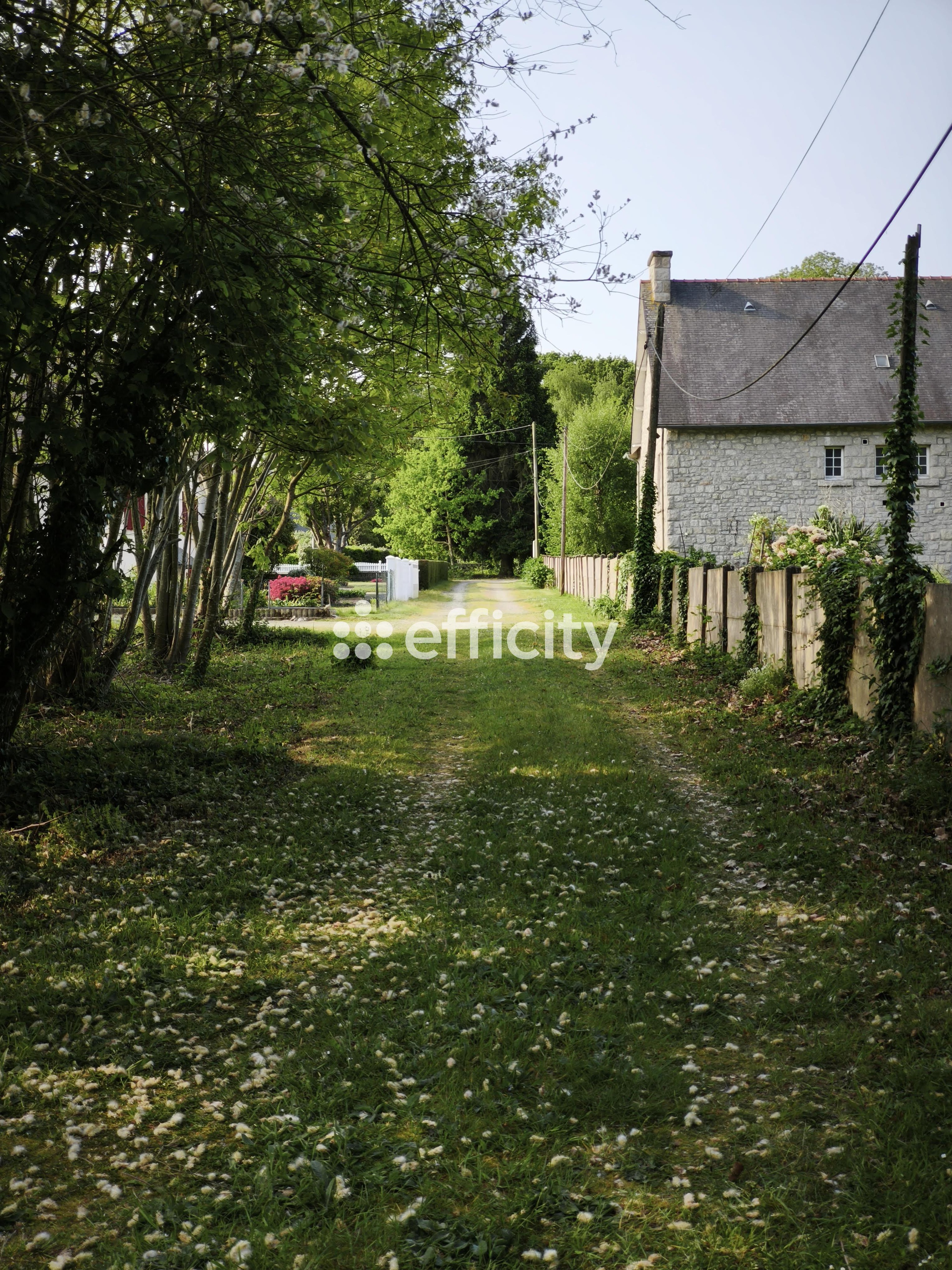 Achat immobilier Terrain   1989m2 à Le Hinglé (22100) - Photo n°7