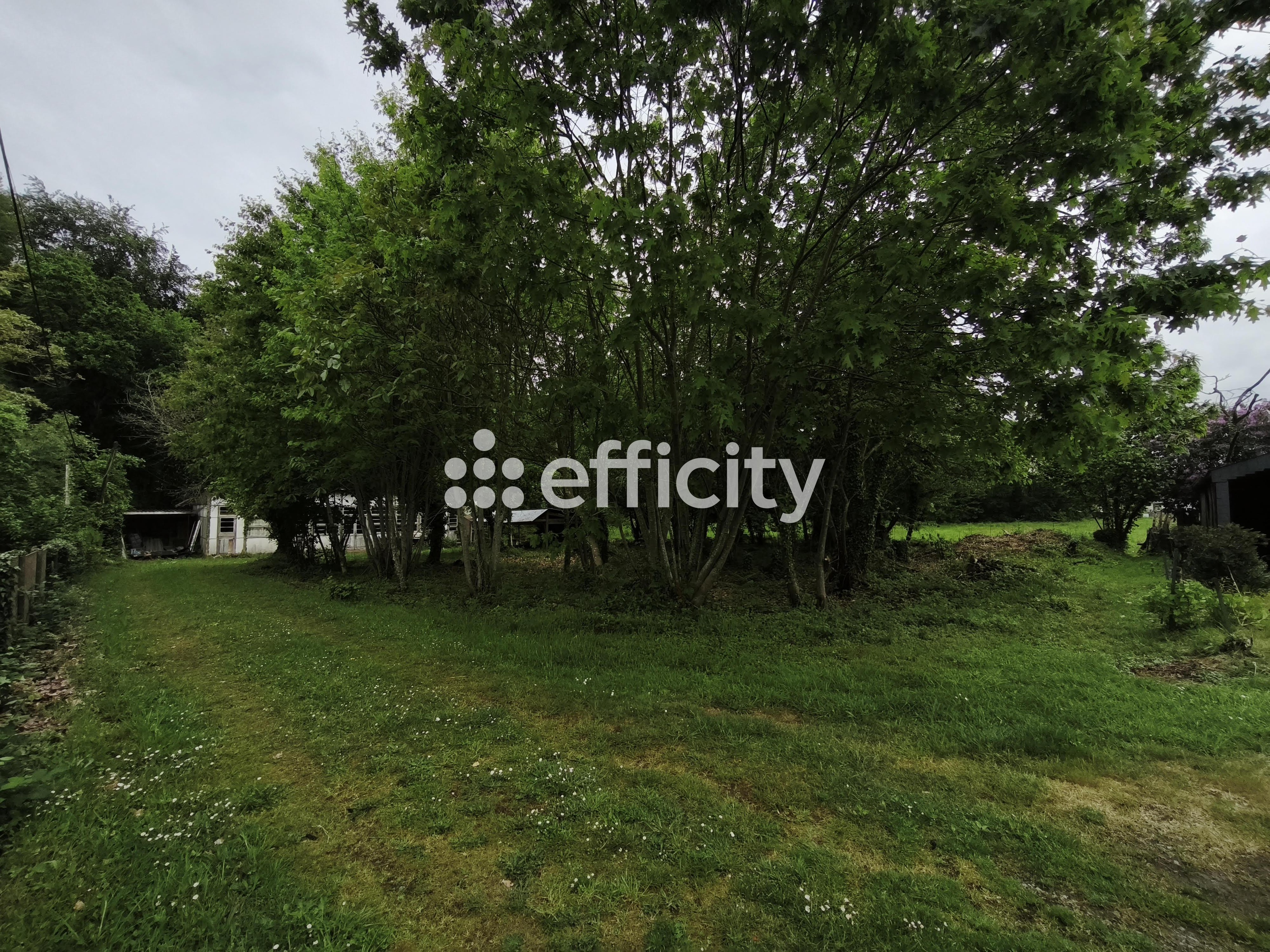 Achat immobilier Terrain   1989m2 à Le Hinglé (22100) - Photo n°12