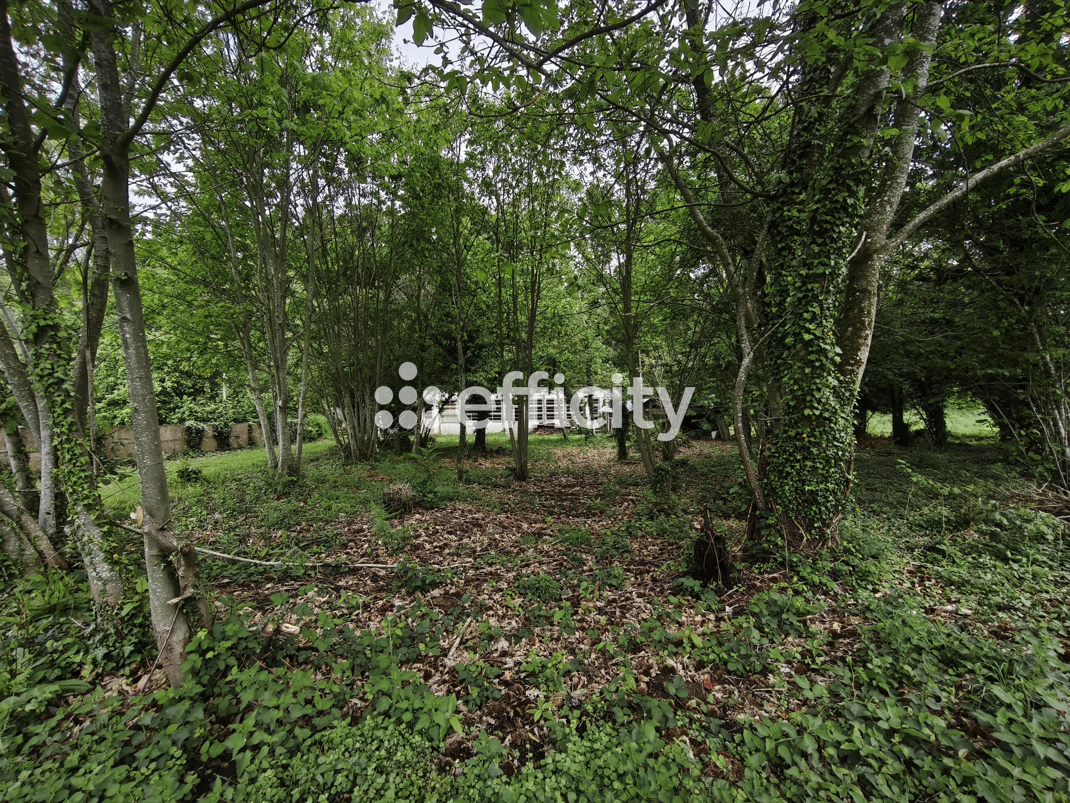Achat immobilier Terrain   1989m2 à Le Hinglé (22100) - Photo n°13