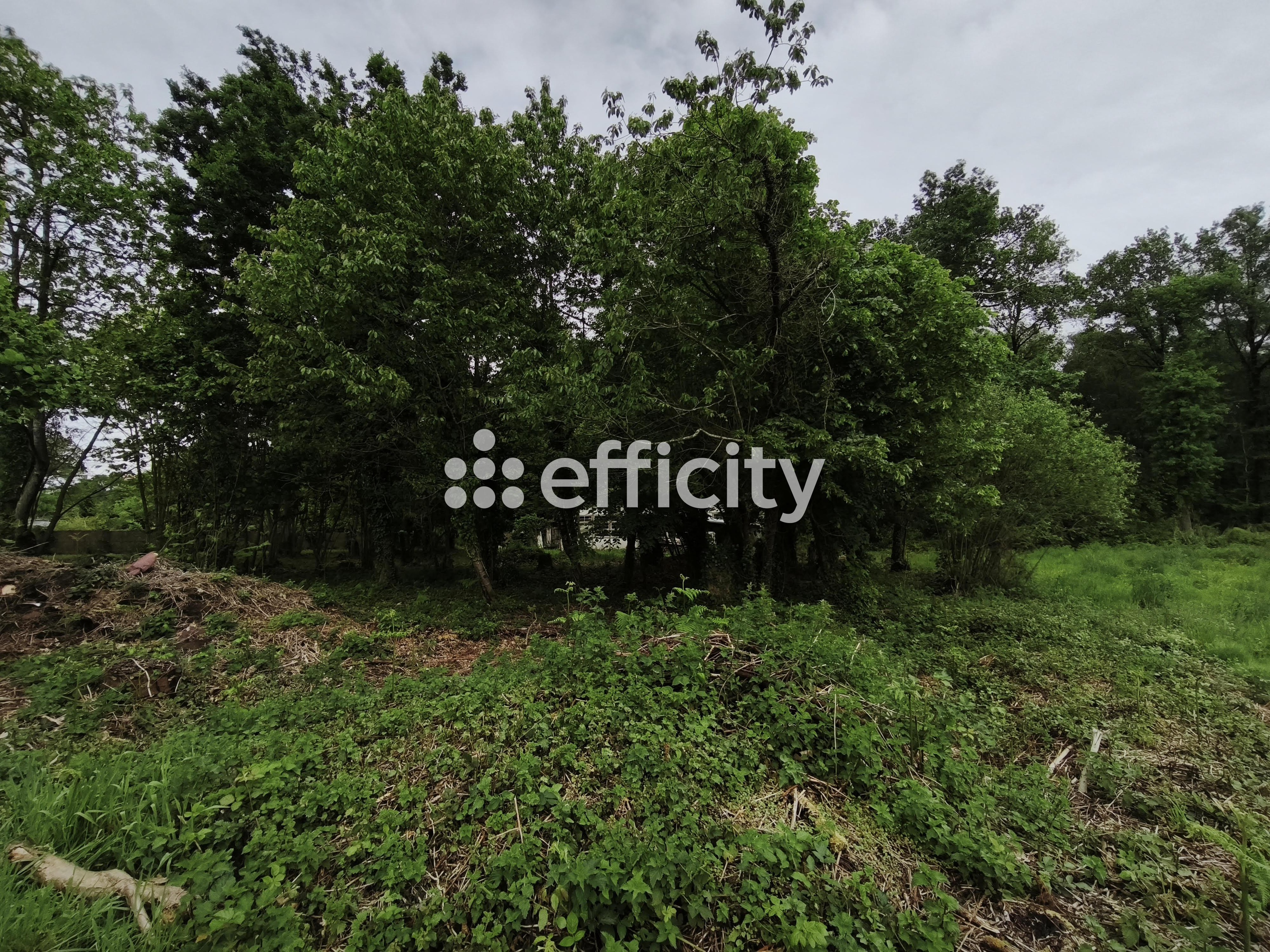 Achat immobilier Terrain   1989m2 à Le Hinglé (22100) - Photo n°4