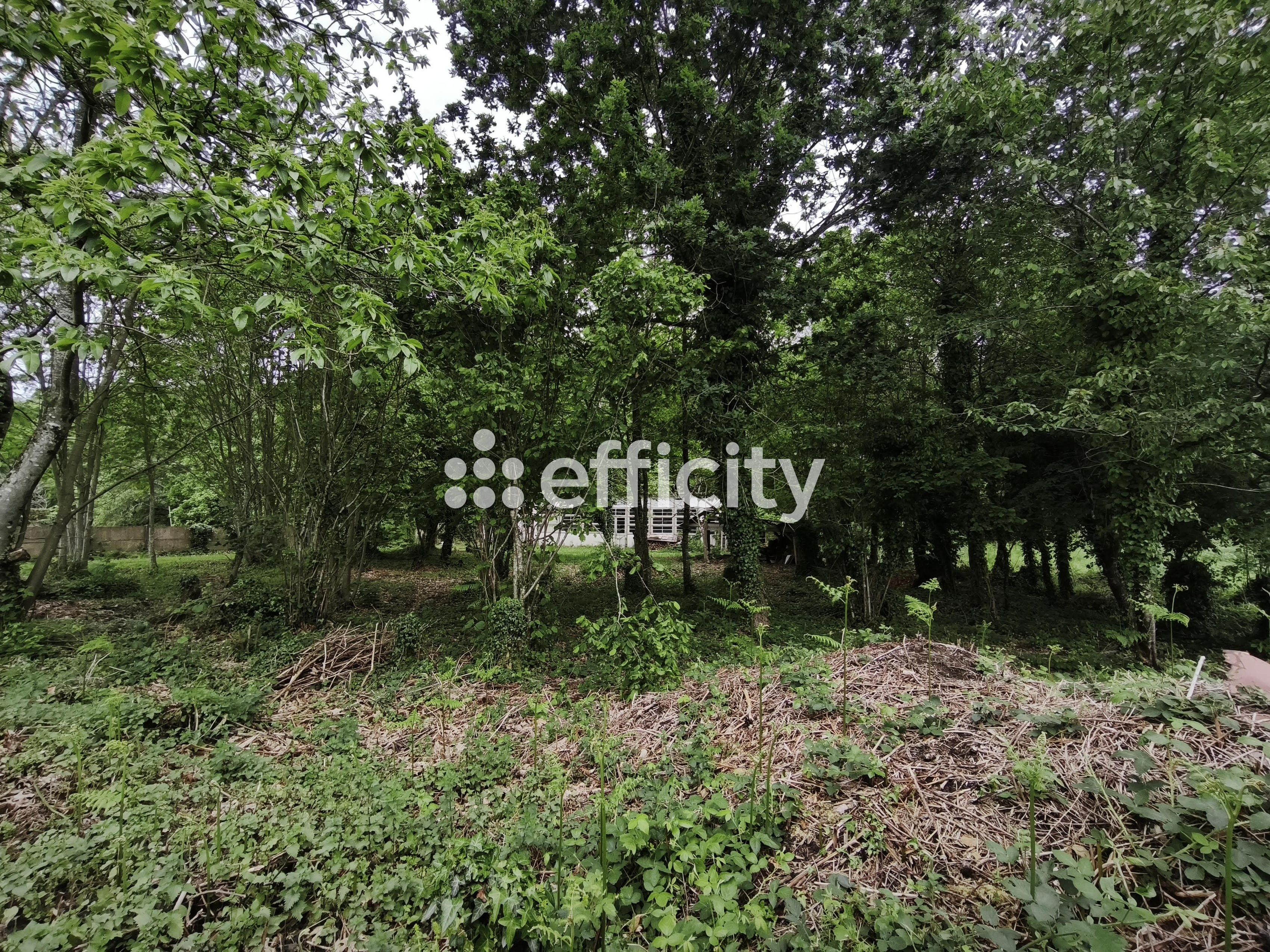 Achat immobilier Terrain   1989m2 à Le Hinglé (22100) - Photo n°14