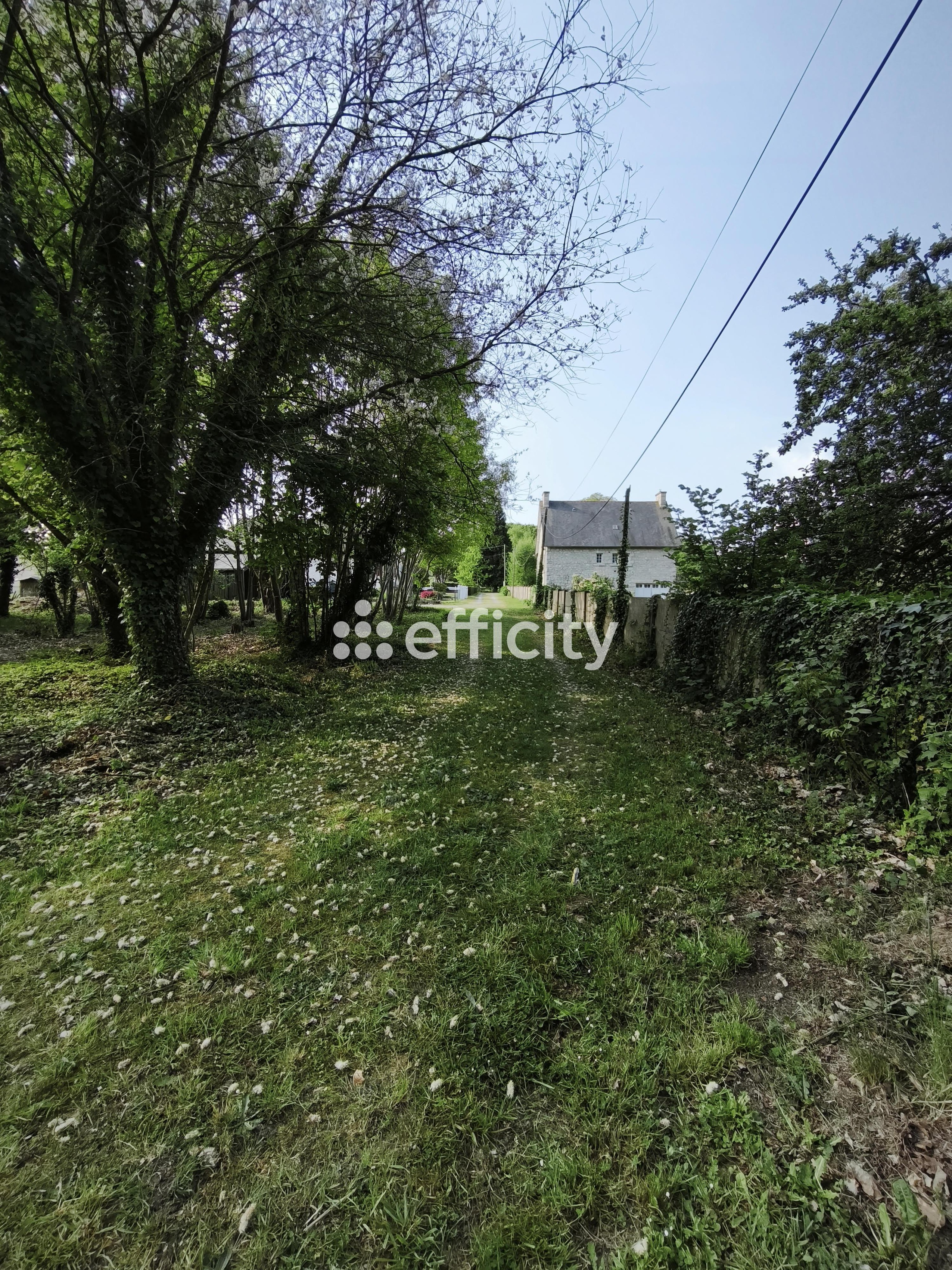 Achat immobilier Terrain   1989m2 à Le Hinglé (22100) - Photo n°5