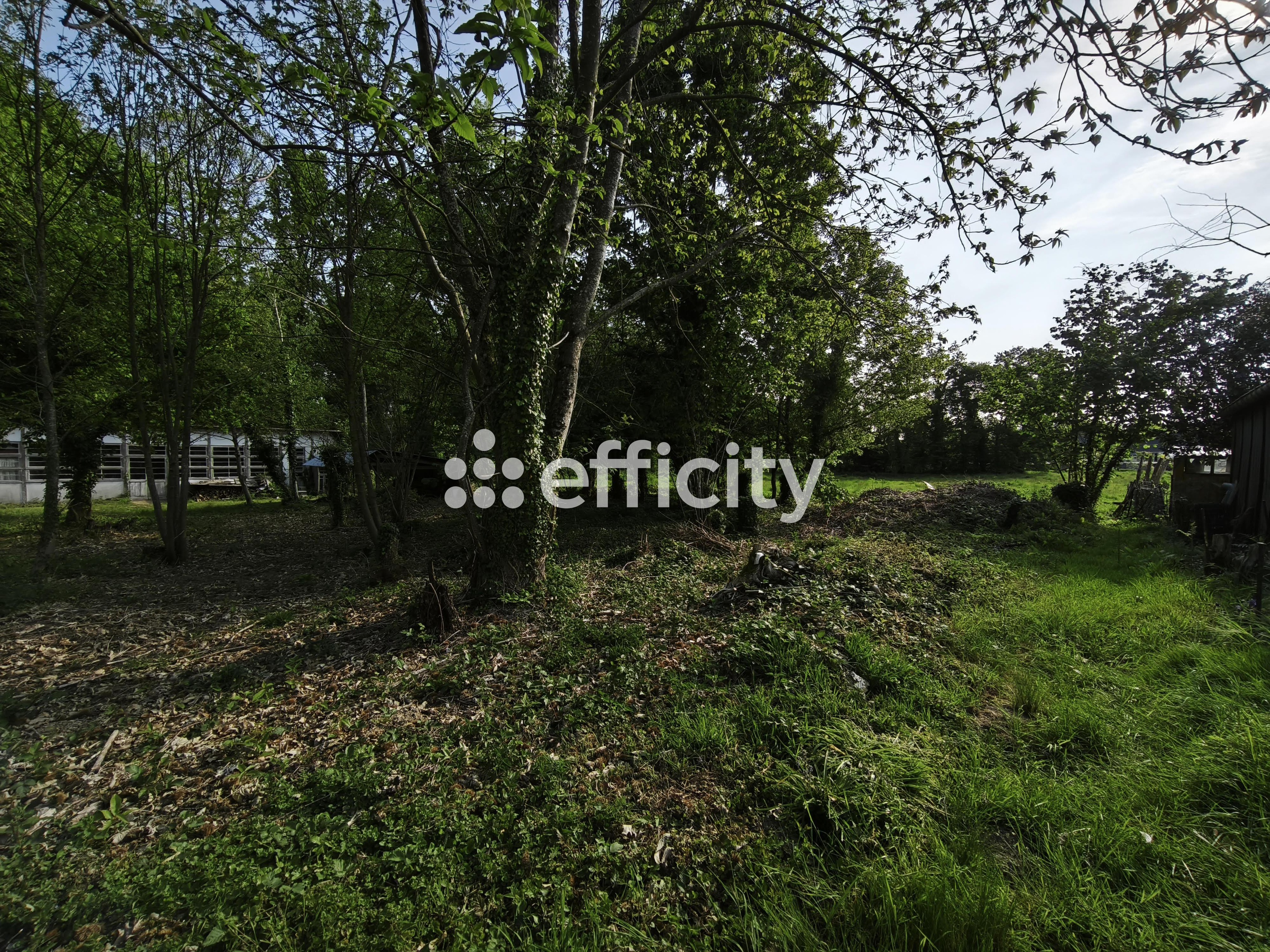 Achat immobilier Terrain   1989m2 à Le Hinglé (22100) - Photo n°8
