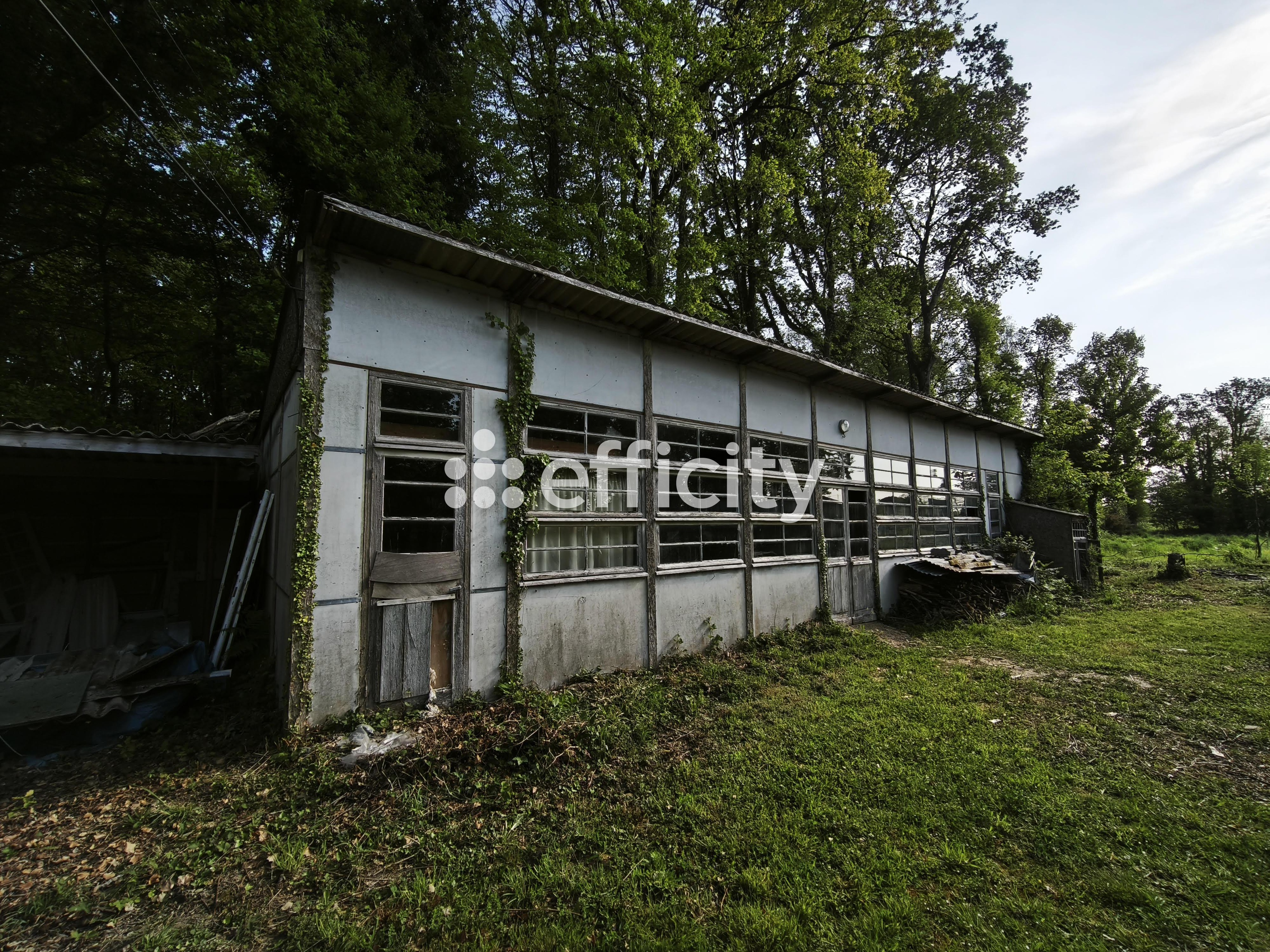 Achat immobilier Terrain   1989m2 à Le Hinglé (22100) - Photo n°9