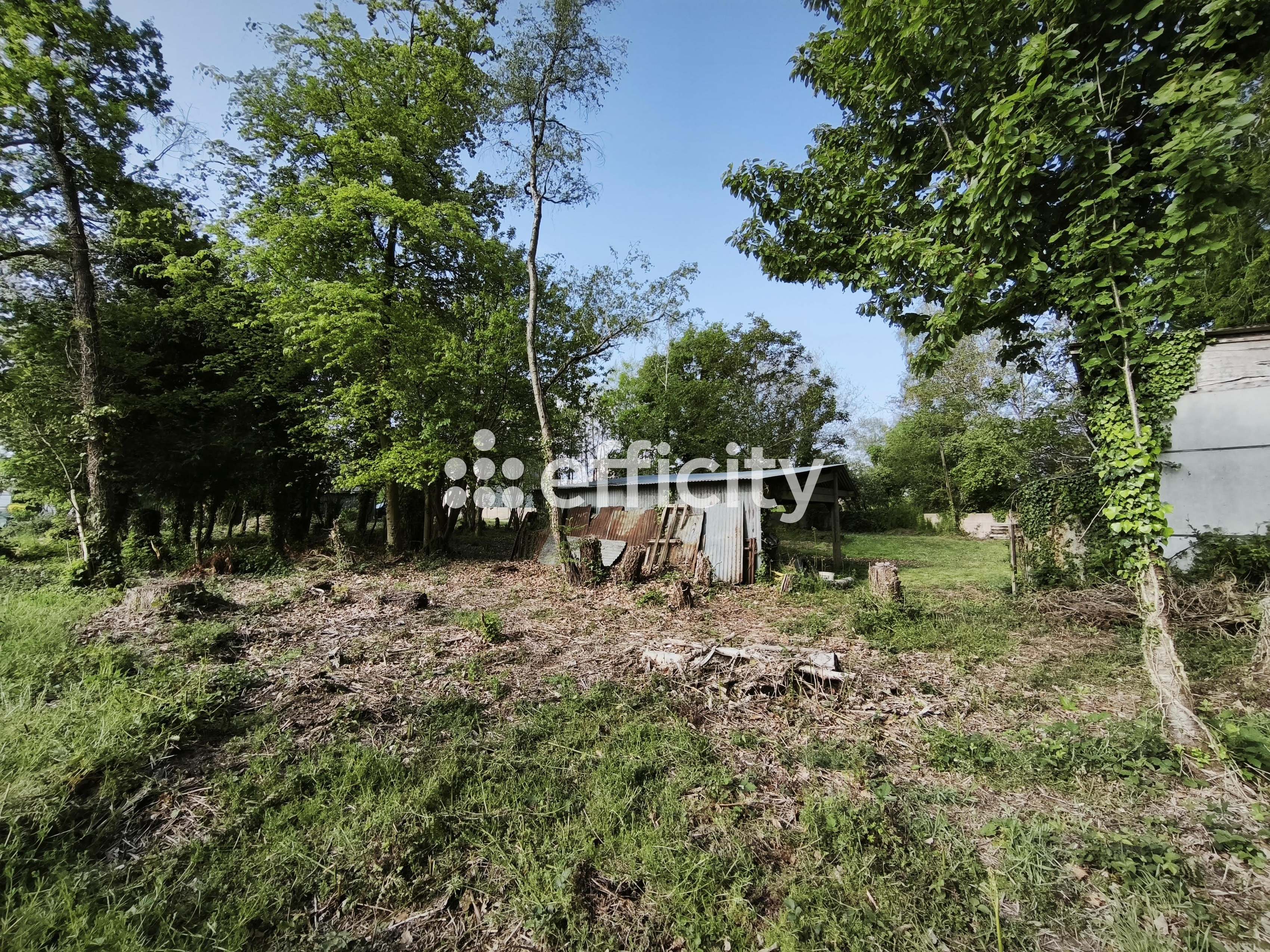 Achat immobilier Terrain   1989m2 à Le Hinglé (22100) - Photo n°10