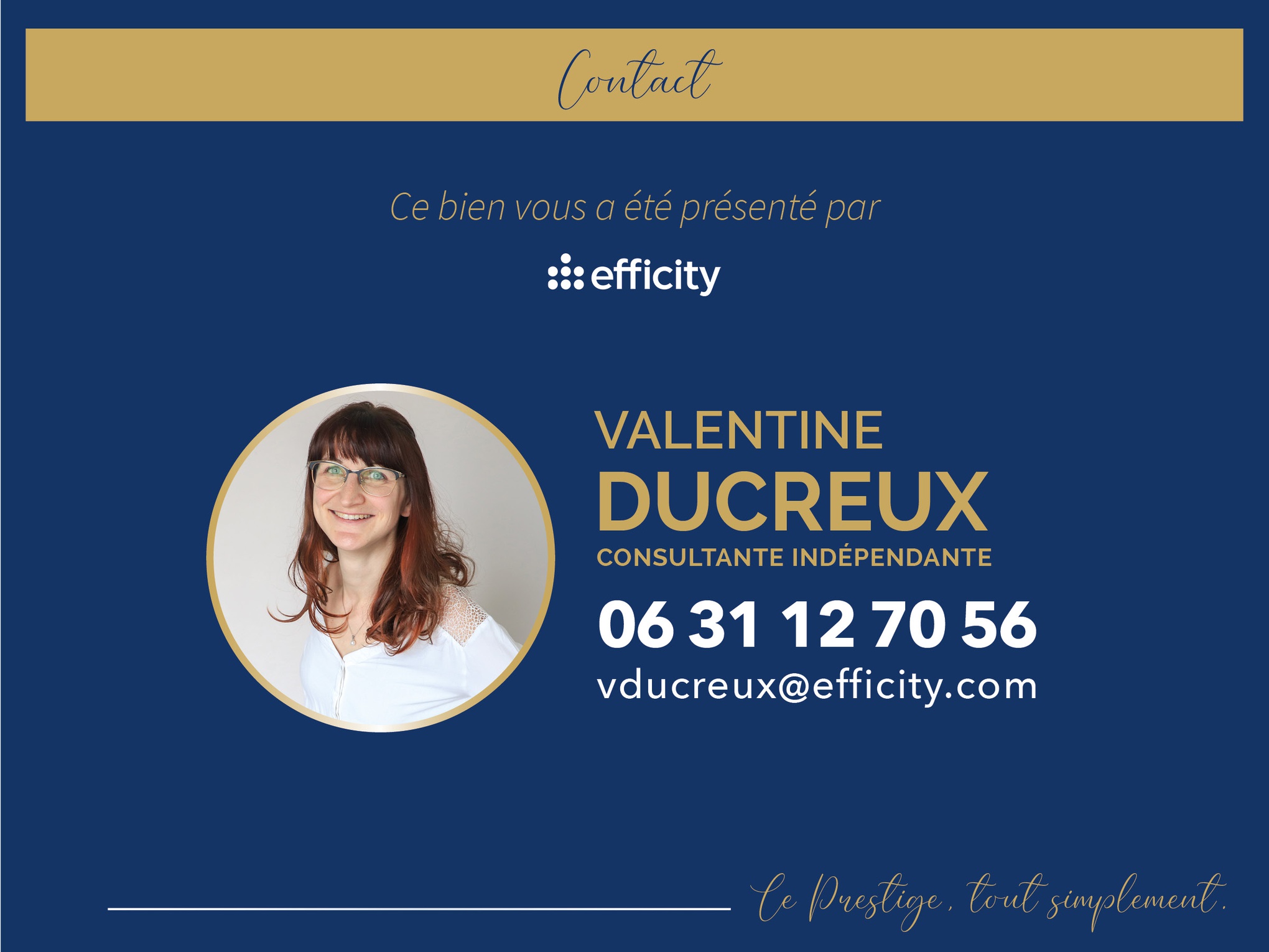 Achat immobilier Maison 8 pièces  400m2 à Andrézieux-Bouthéon (42160) - Photo n°20