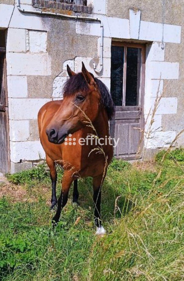 Achat immobilier Maison 2 pièces  104m2 à Varennes (37600) - Photo n°7