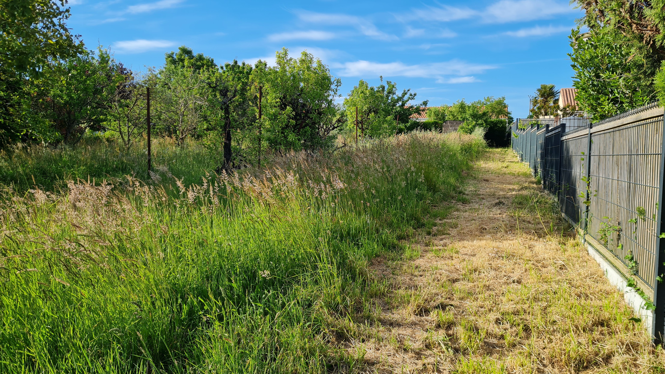 terrain  - 875m2 à Sèvremoine (49230)