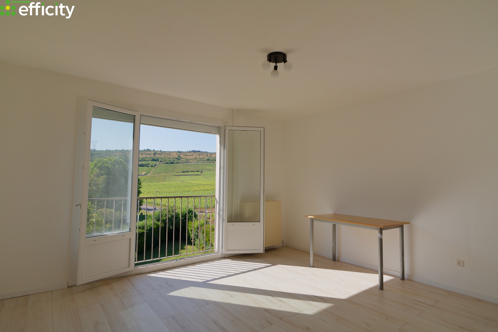 Achat immobilier Appartement 1 pièces  30m2 à Nuits-Saint-Georges (21700) - Photo n°4