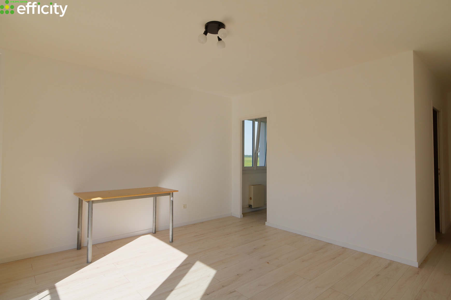 Achat immobilier Appartement 1 pièces  30m2 à Nuits-Saint-Georges (21700) - Photo n°5