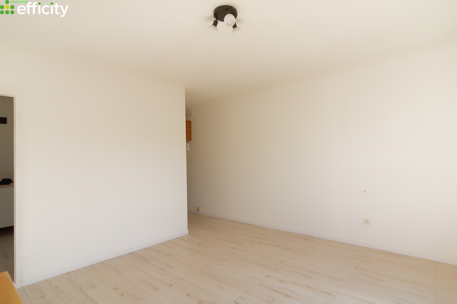 Achat immobilier Appartement 1 pièces  30m2 à Nuits-Saint-Georges (21700) - Photo n°6