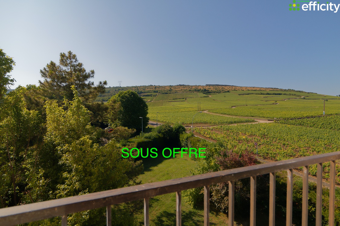 appartement 1 pièces - 30m2 à Nuits-Saint-Georges (21700)