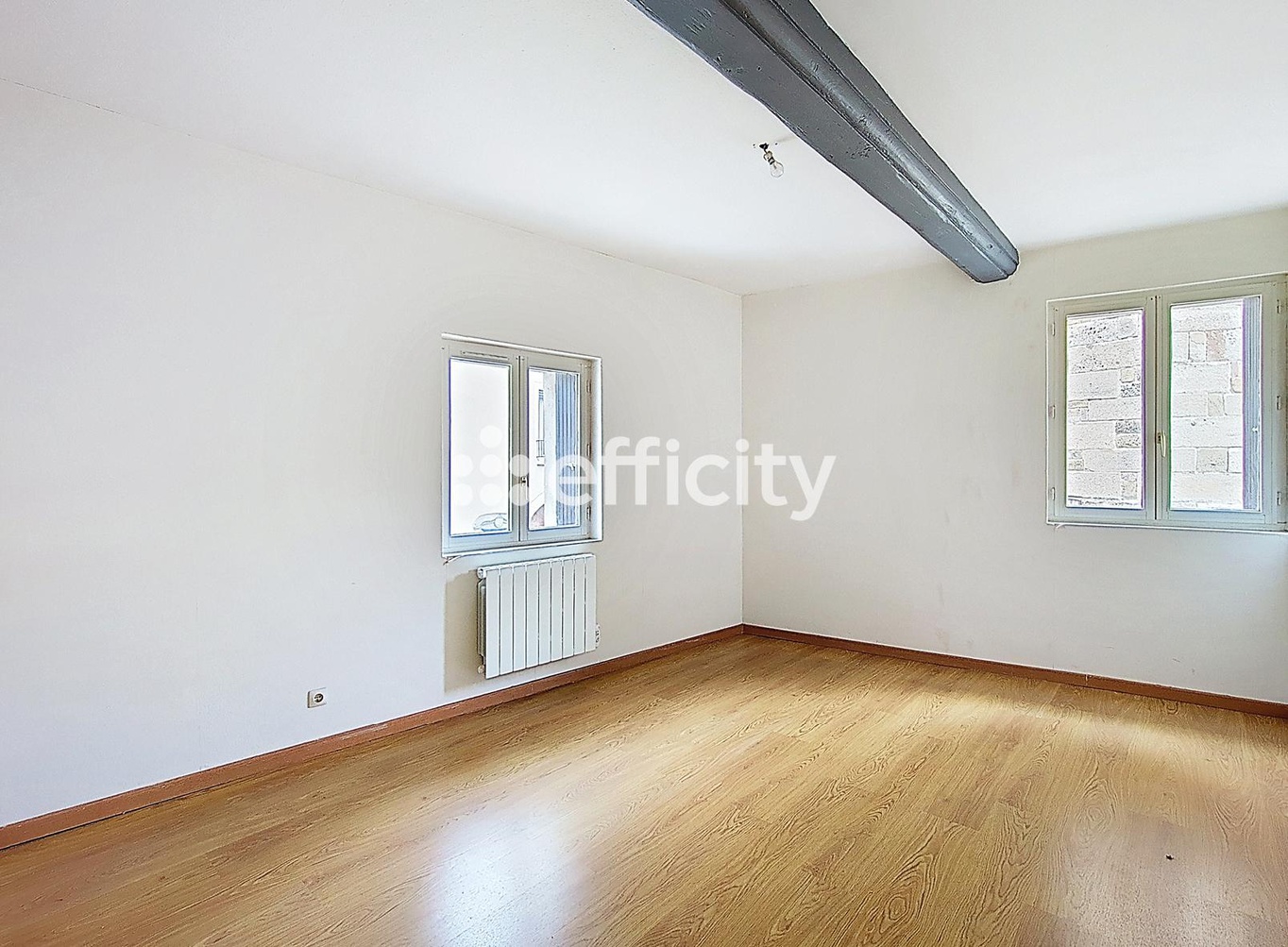 Achat immobilier Maison 6 pièces  160m2 à Genilac (42800) - Photo n°5