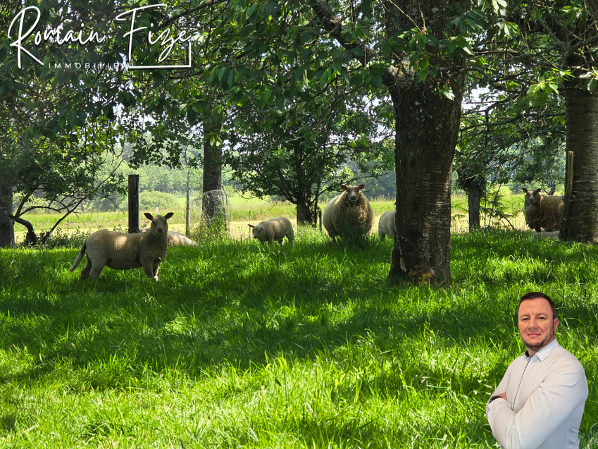 Achat immobilier Maison 4 pièces  277m2 à Mortain-Bocage (50140) - Photo n°21
