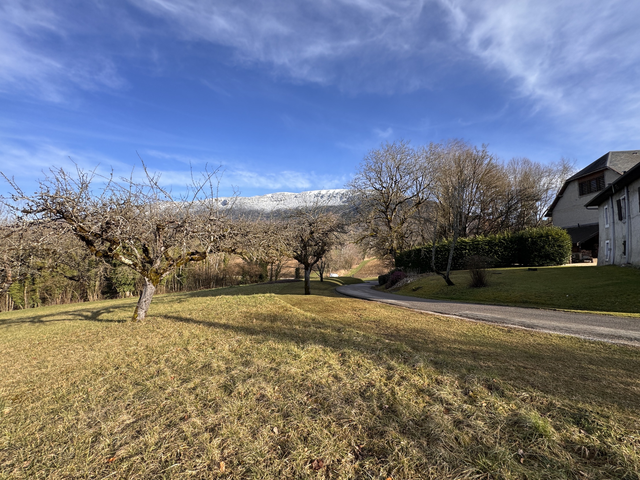 terrain  - 1723,0m2 à Gruffy (74540)