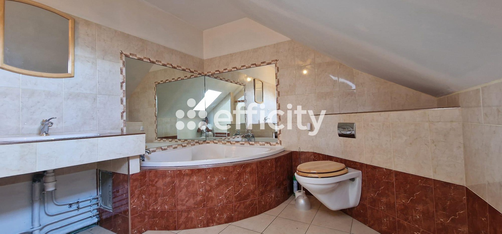 Achat immobilier Maison 5 pièces  162m2 à Argelès-Gazost (65400) - Photo n°7