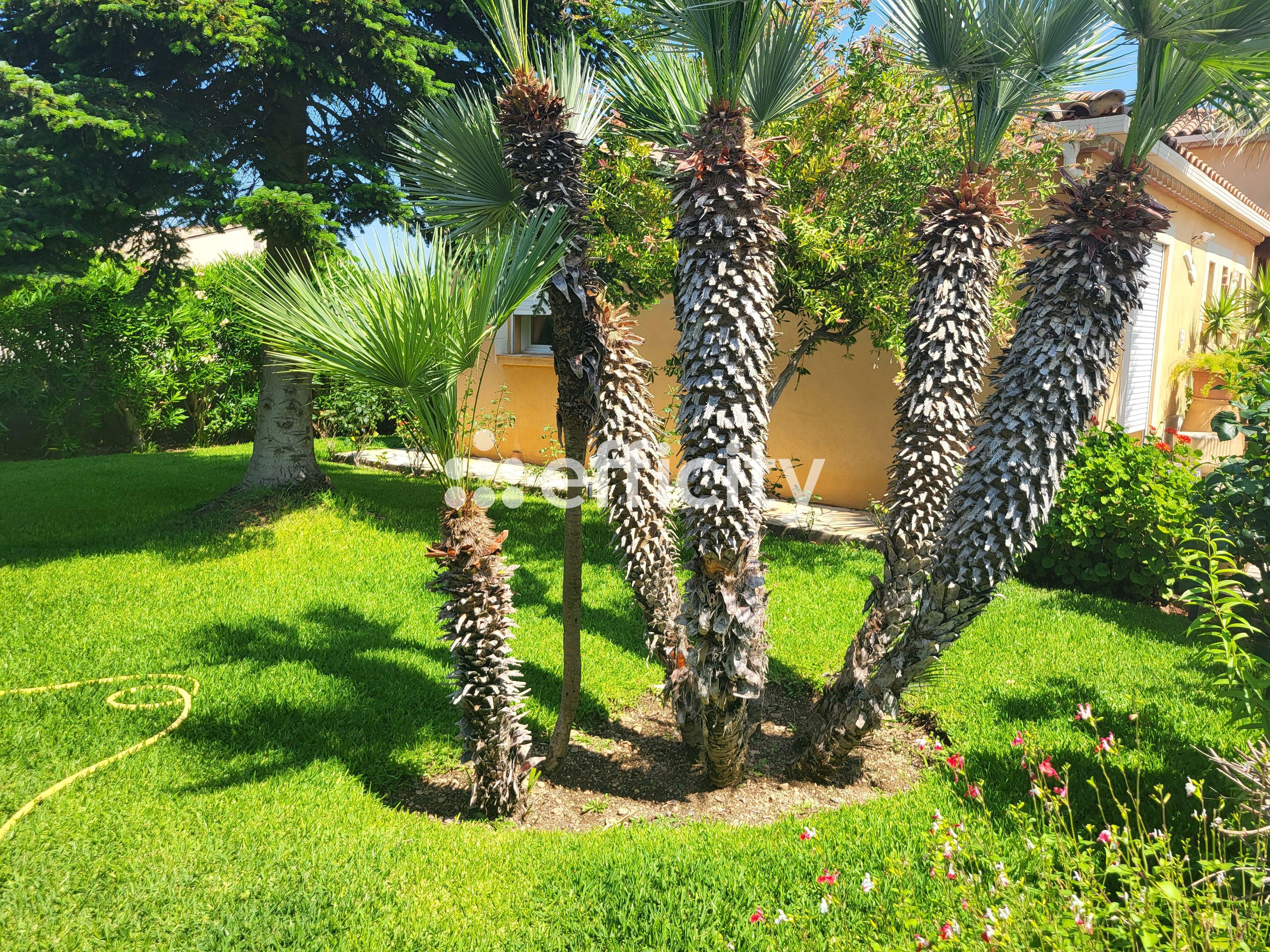 Achat immobilier Maison 8 pièces  165m2 à Usclas-d'Hérault (34230) - Photo n°27