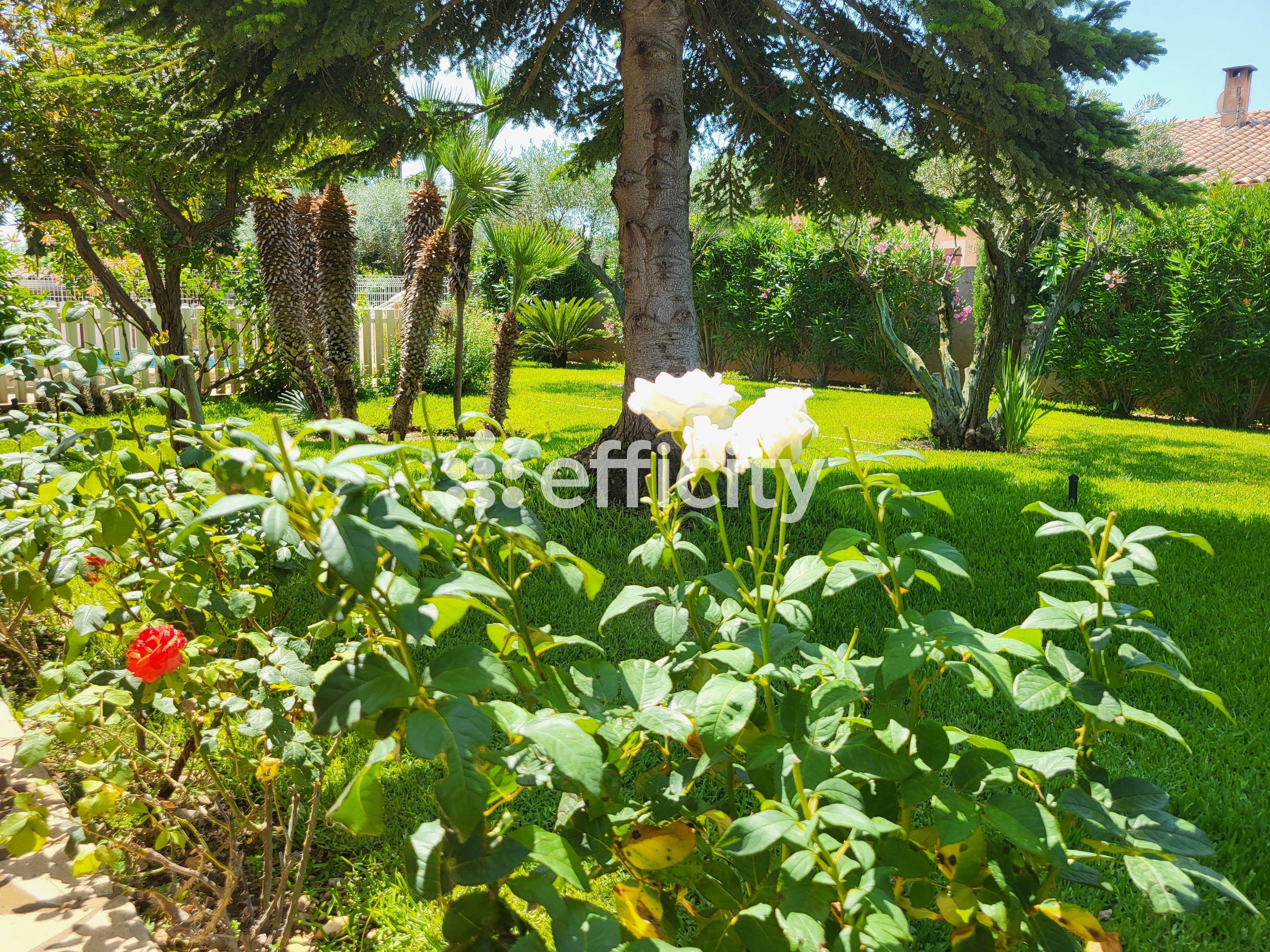 Achat immobilier Maison 8 pièces  165m2 à Usclas-d'Hérault (34230) - Photo n°26