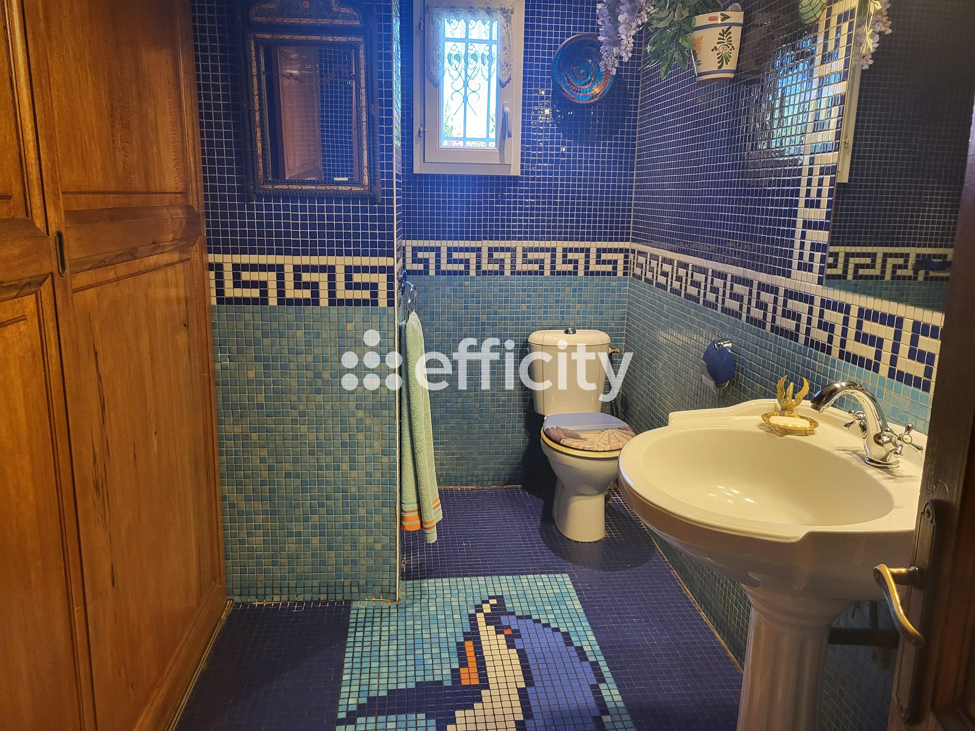 Achat immobilier Maison 8 pièces  165m2 à Usclas-d'Hérault (34230) - Photo n°13