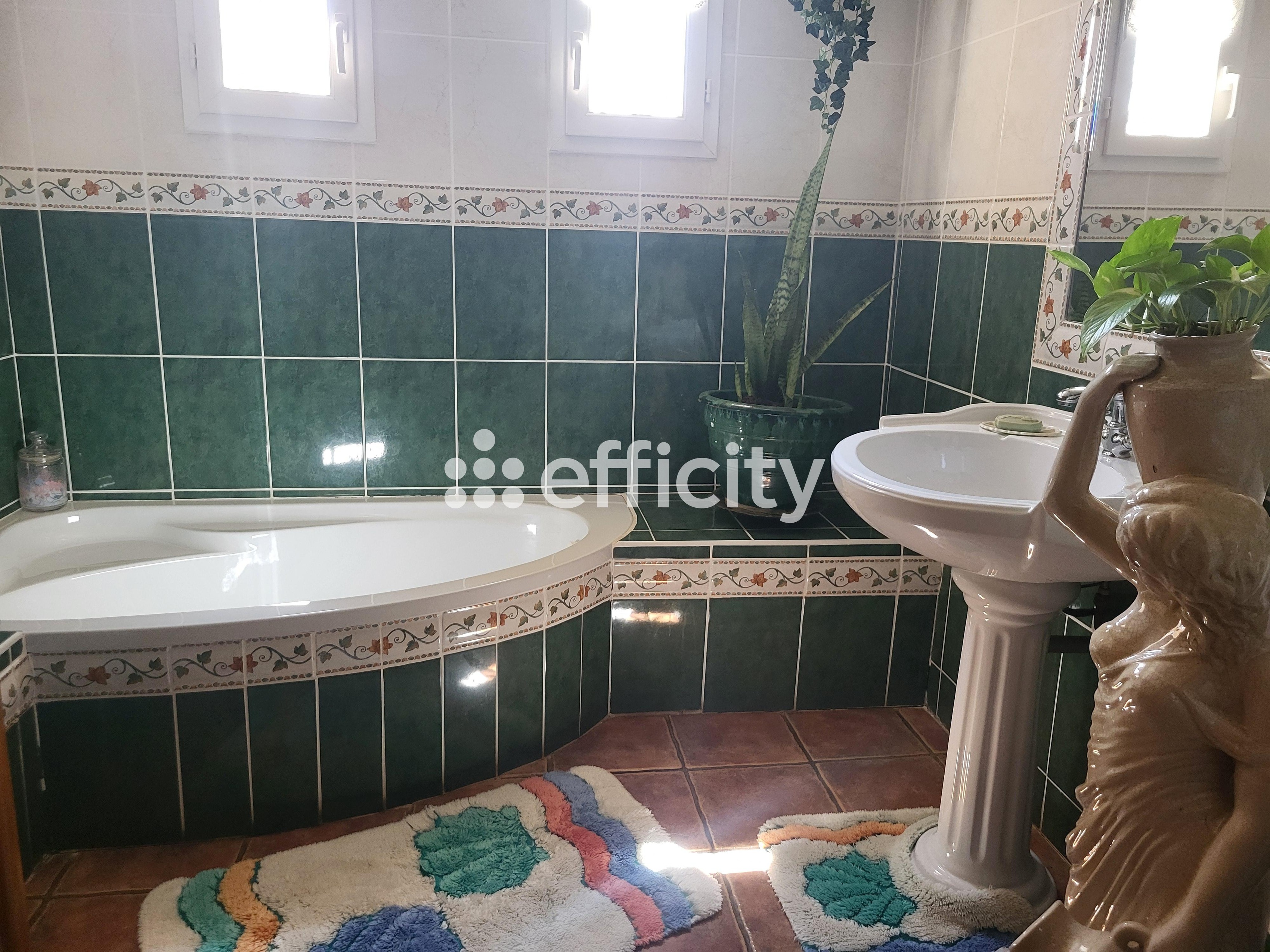 Achat immobilier Maison 8 pièces  165m2 à Usclas-d'Hérault (34230) - Photo n°12