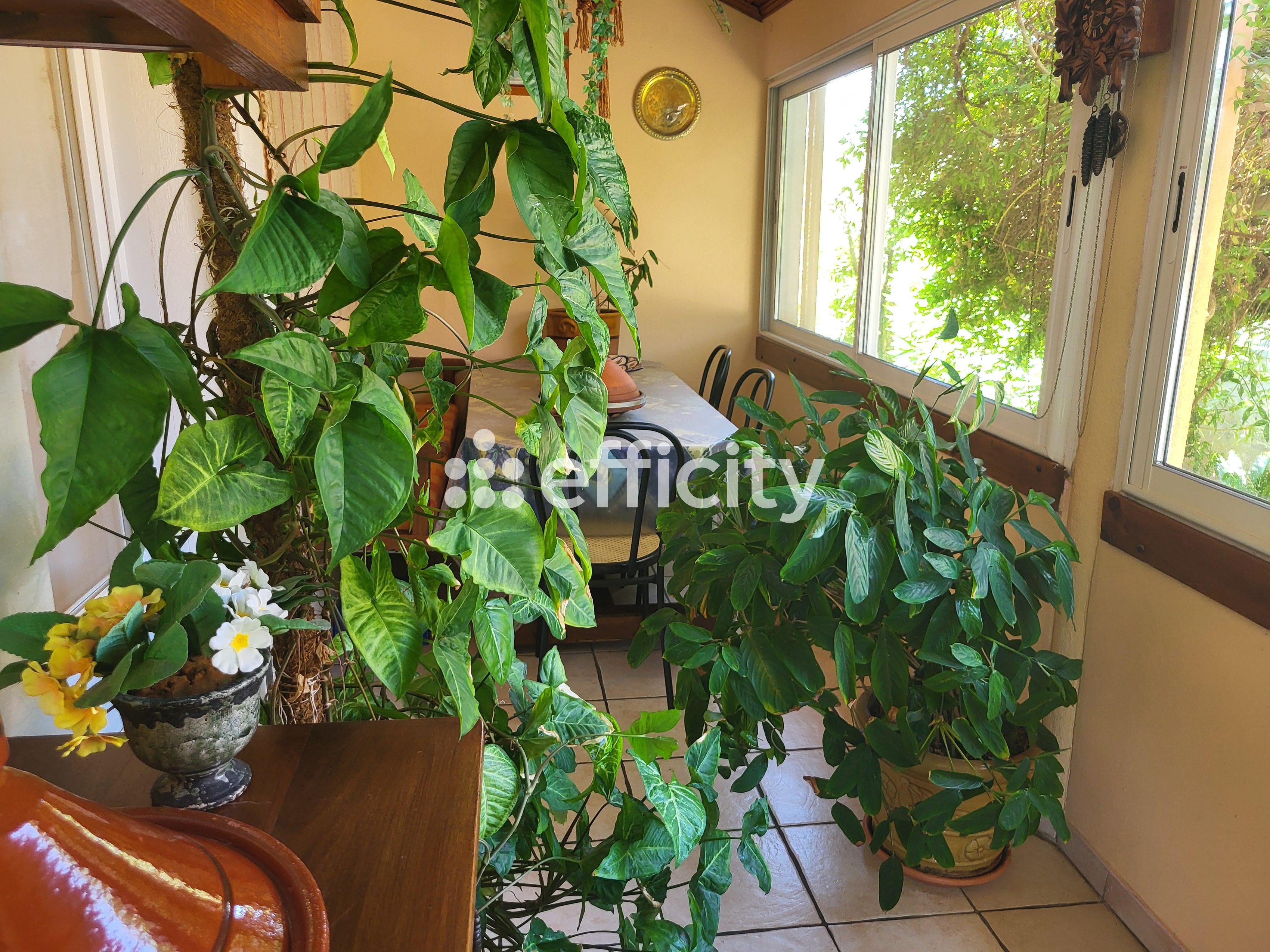 Achat immobilier Maison 8 pièces  165m2 à Usclas-d'Hérault (34230) - Photo n°19