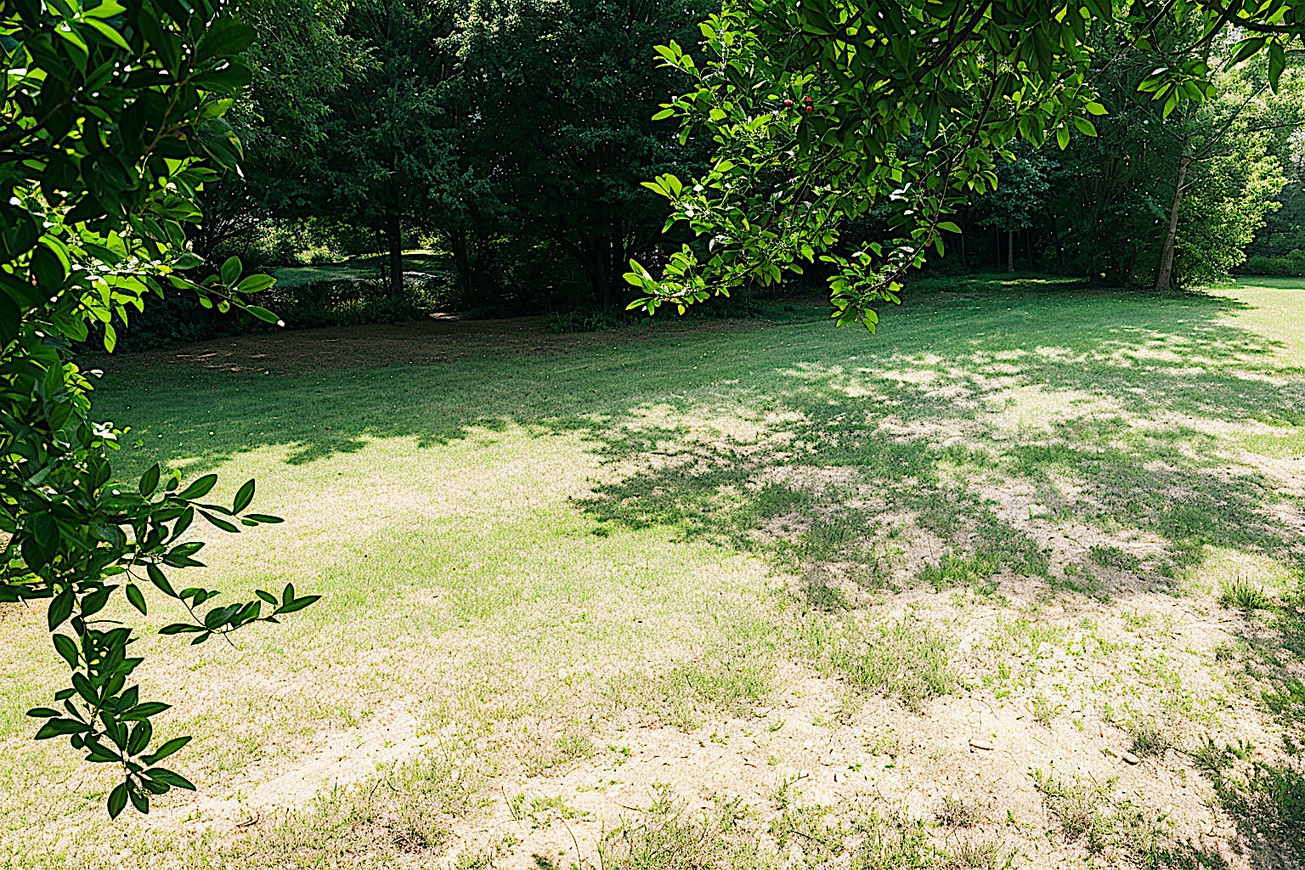 Achat immobilier Terrain   820m2 à Meschers-sur-Gironde (17132) - Photo n°4