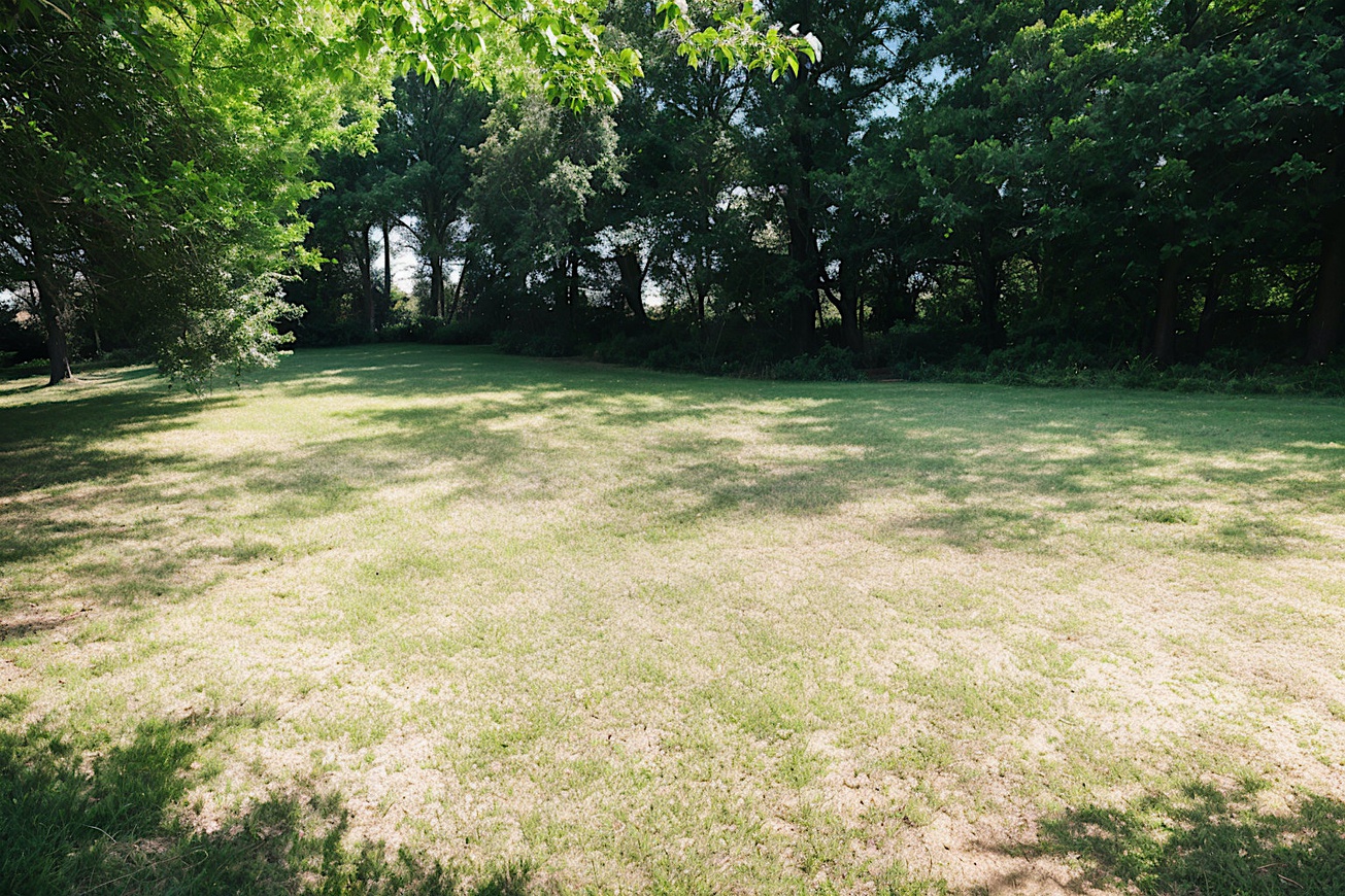 Achat immobilier Terrain   820m2 à Meschers-sur-Gironde (17132) - Photo n°5