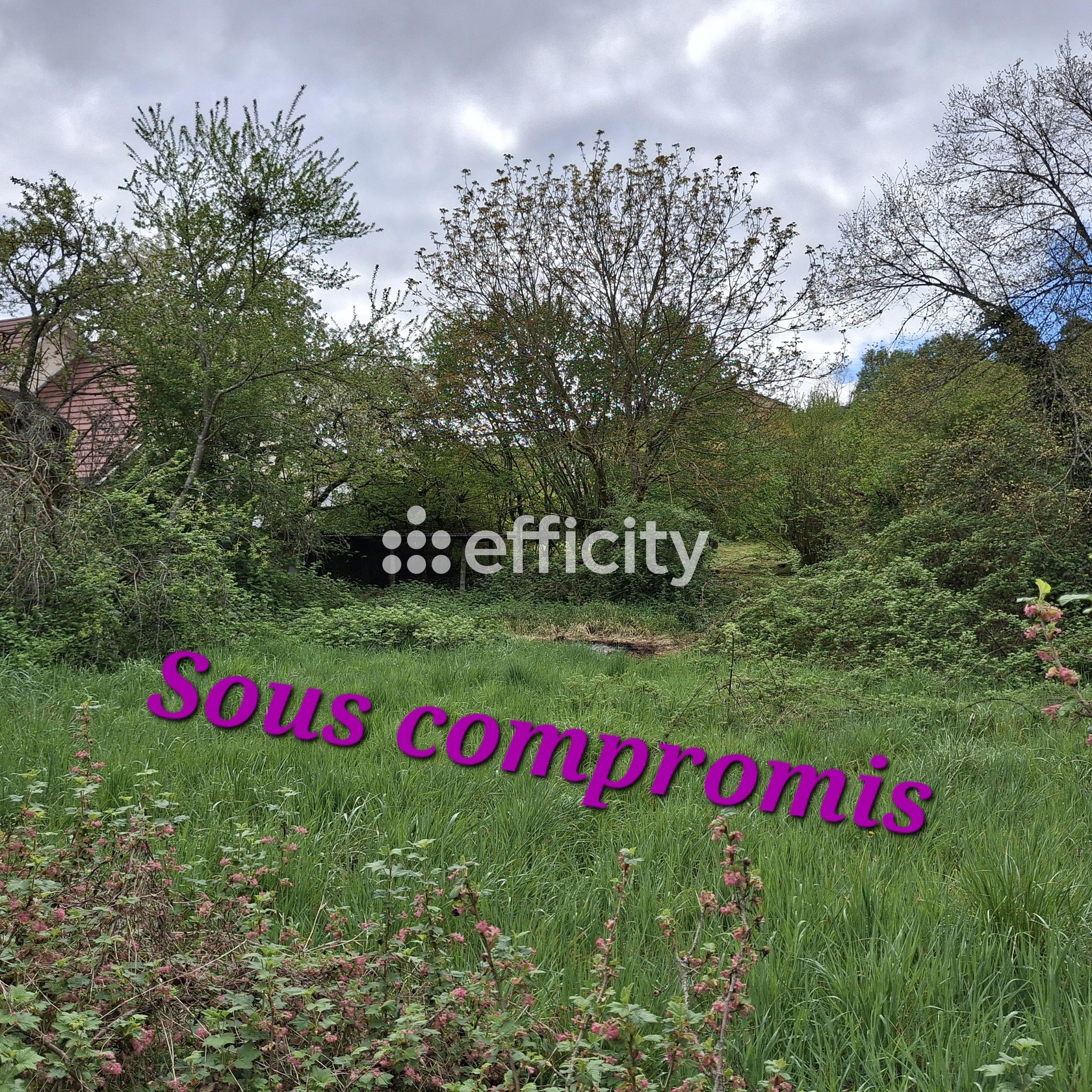terrain  - 600m2 à Rougemont (25680)