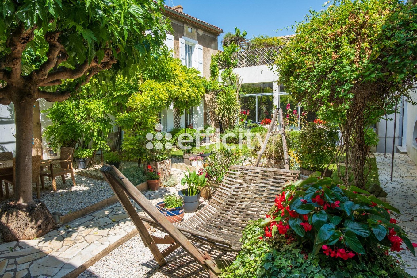 Achat immobilier Maison 12 pièces  277m2 à Olonzac (34210) - Photo n°8