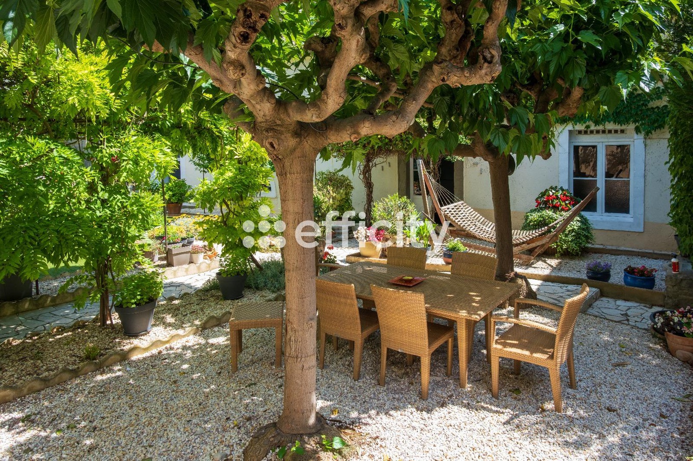 Achat immobilier Maison 12 pièces  277m2 à Olonzac (34210) - Photo n°11