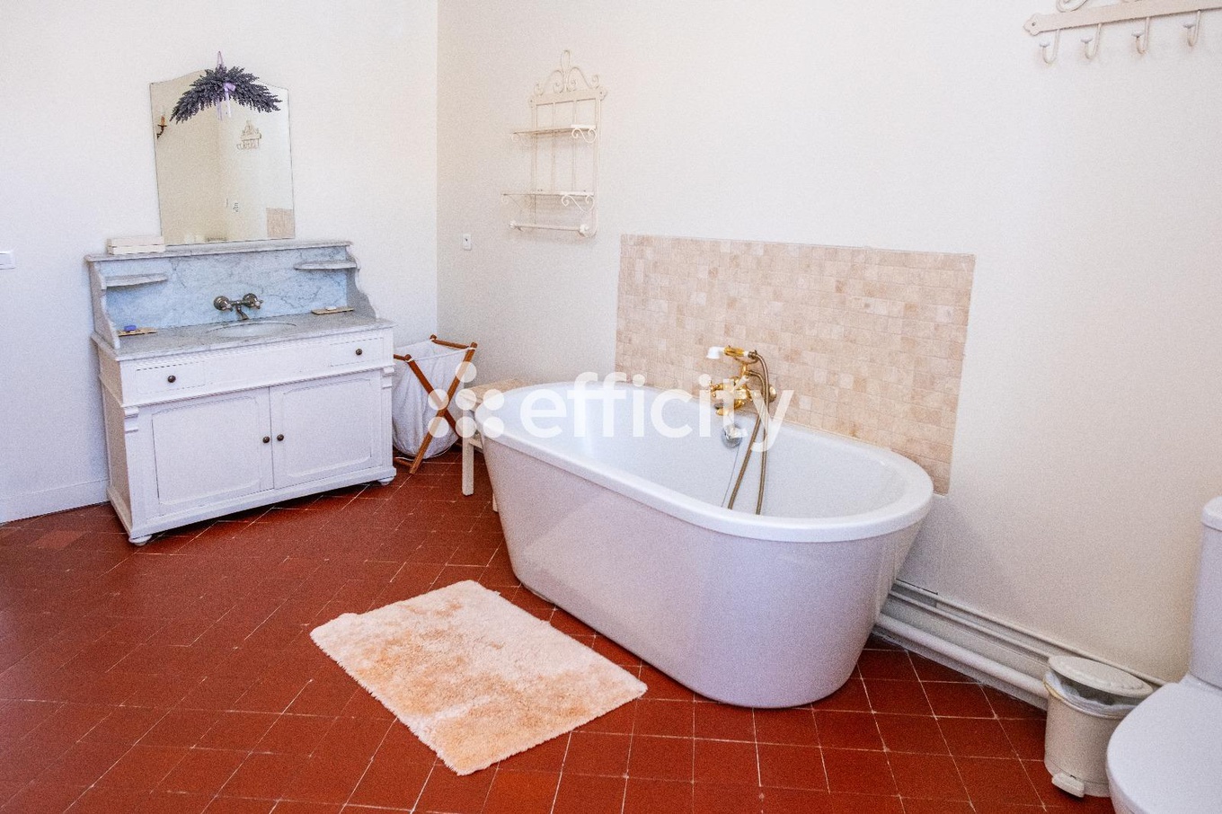 Achat immobilier Maison 12 pièces  277m2 à Olonzac (34210) - Photo n°16