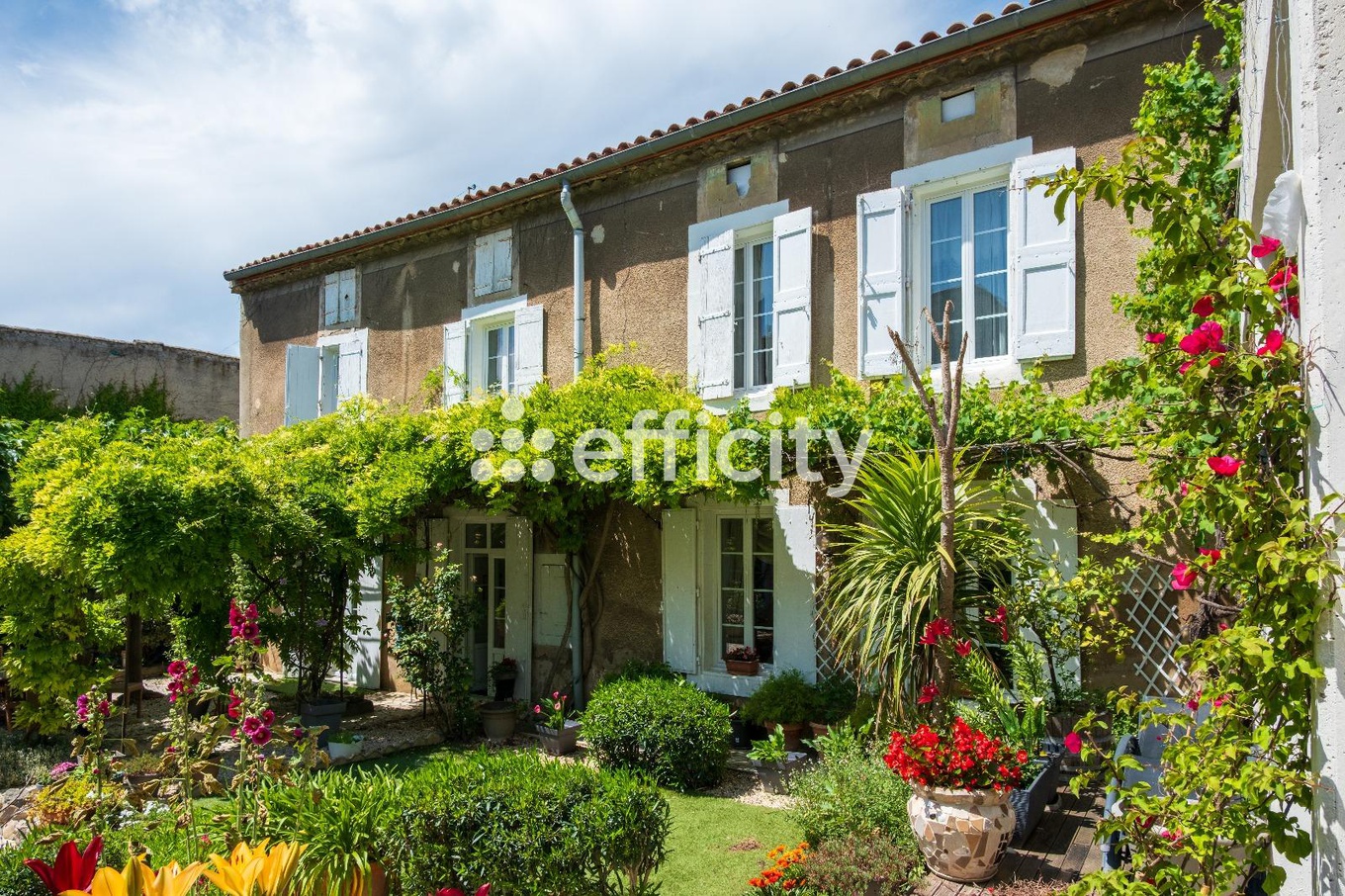 Achat immobilier Maison 12 pièces  277m2 à Olonzac (34210) - Photo n°10