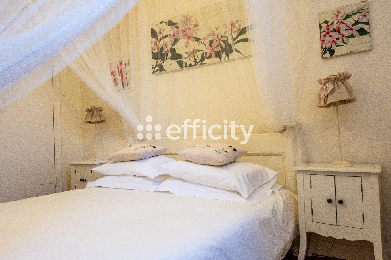 Achat immobilier Maison 12 pièces  277m2 à Olonzac (34210) - Photo n°19