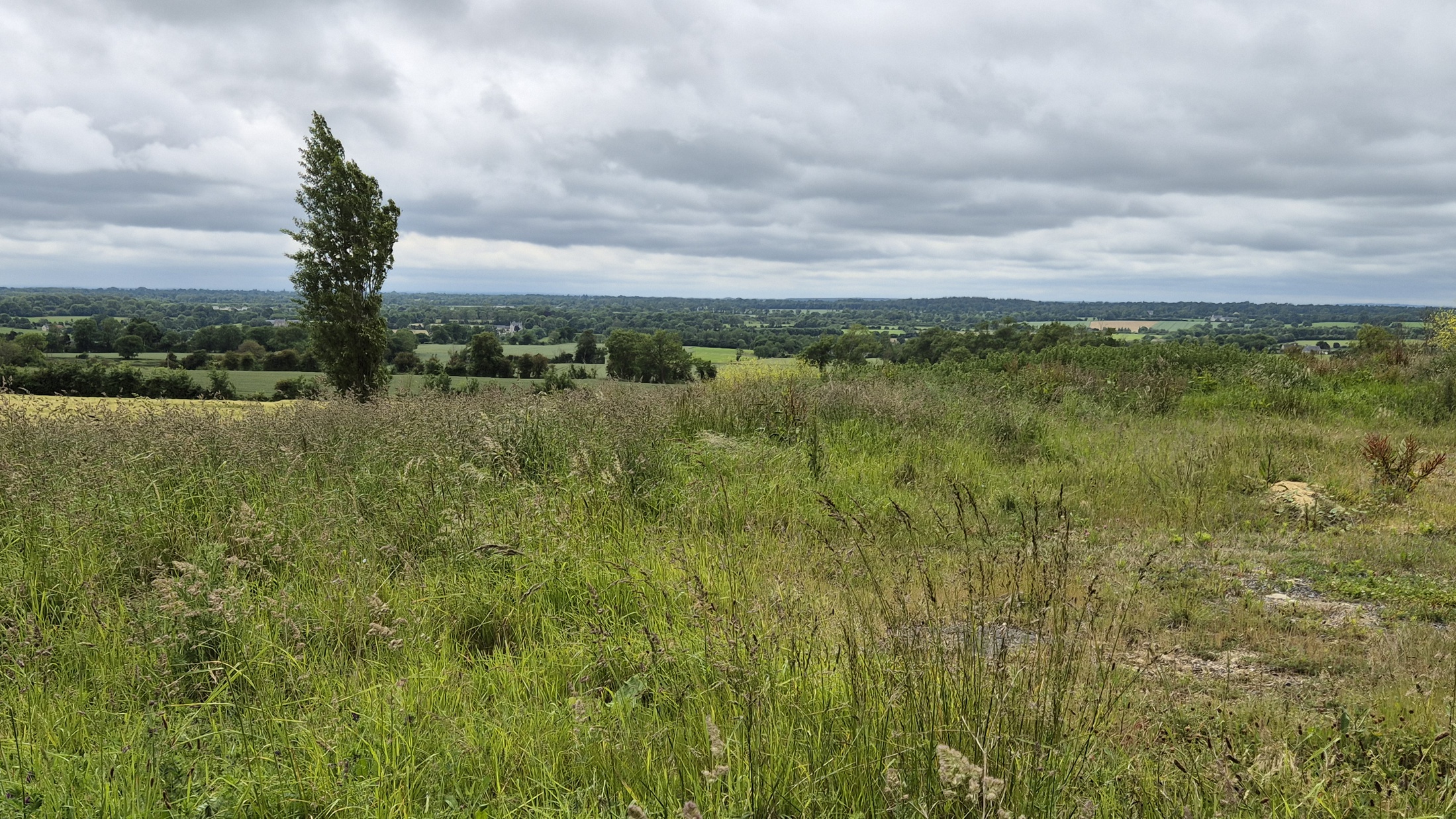 terrain  - 1090m2 à Aure sur Mer (14520)