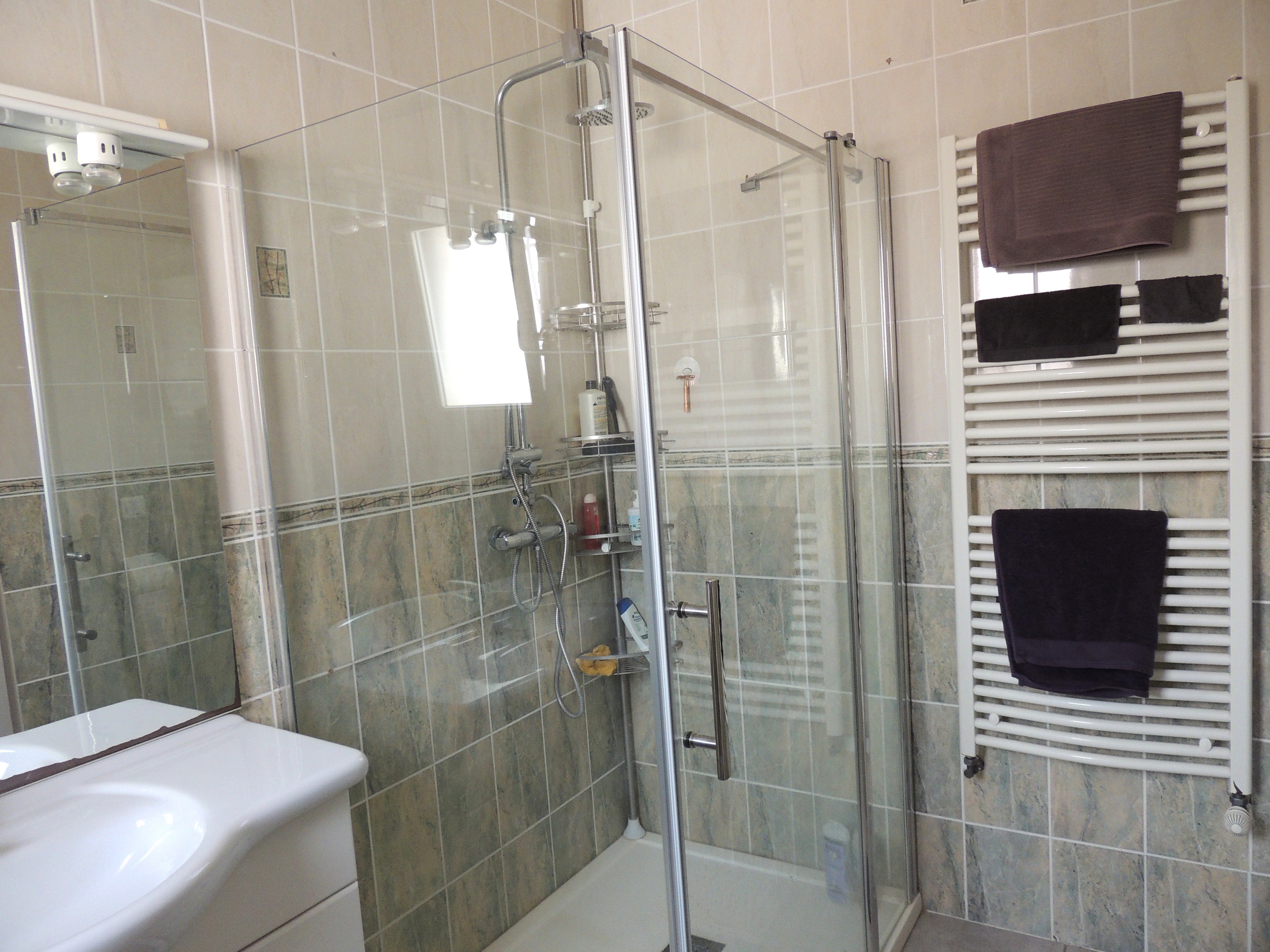 Achat immobilier Maison 9 pièces  305m2 à Paulhan (34230) - Photo n°5