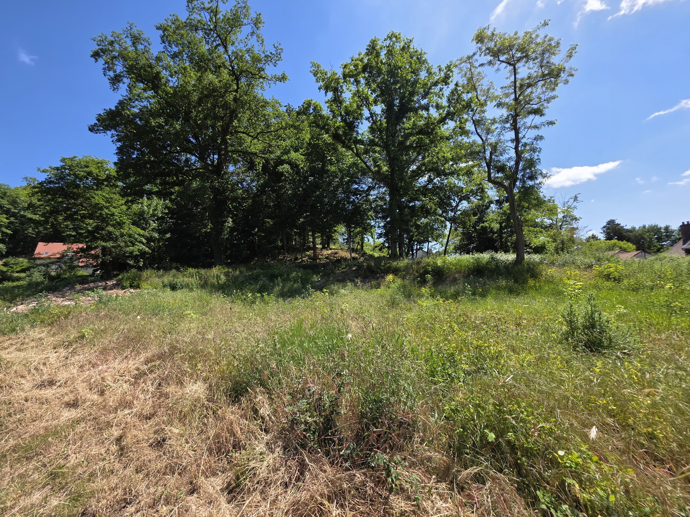 terrain  - 747m2 à Sainte-Mesme (78730)