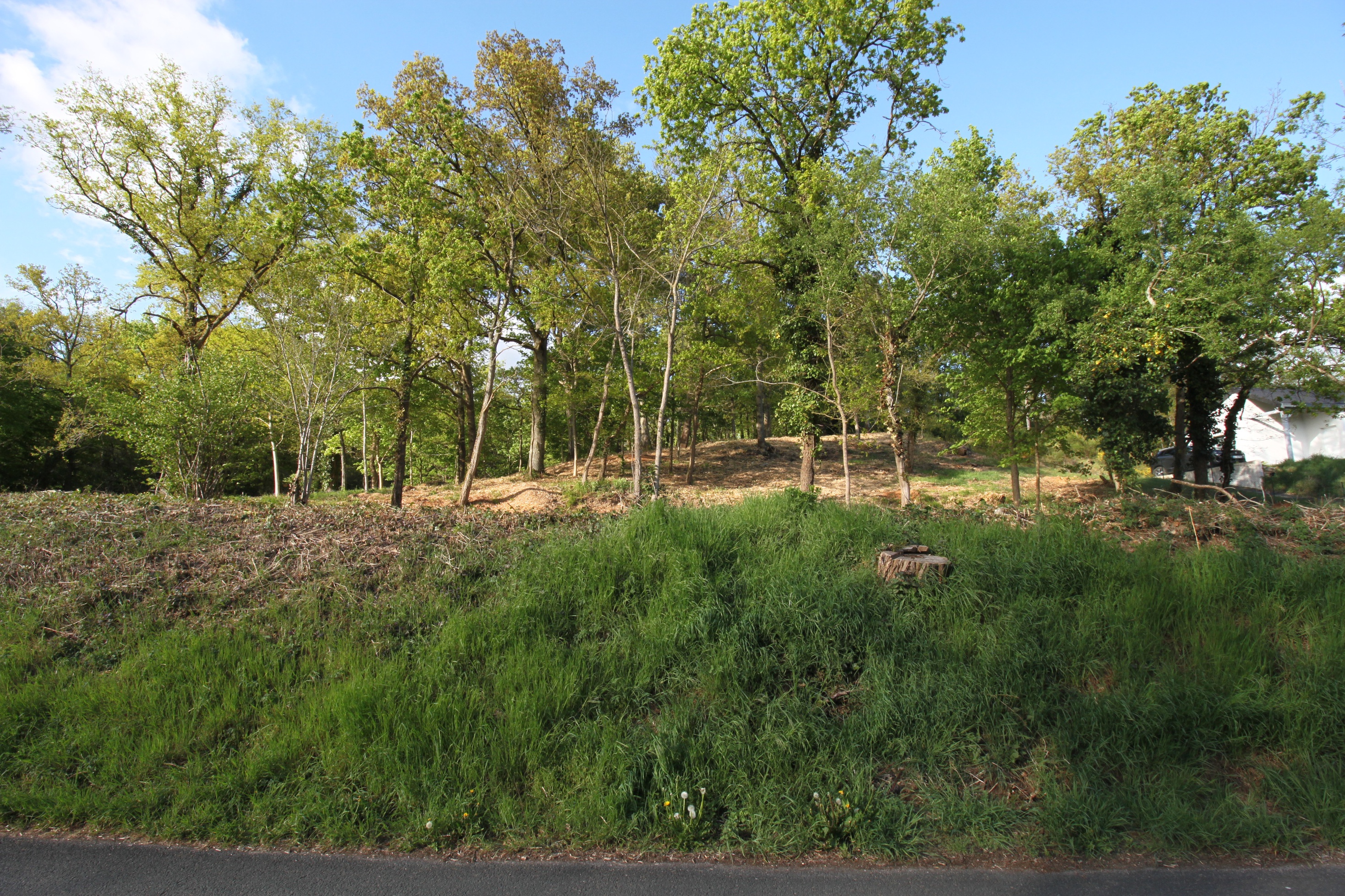 Achat immobilier Terrain   861m2 à Sainte-Mesme (78730) - Photo n°4