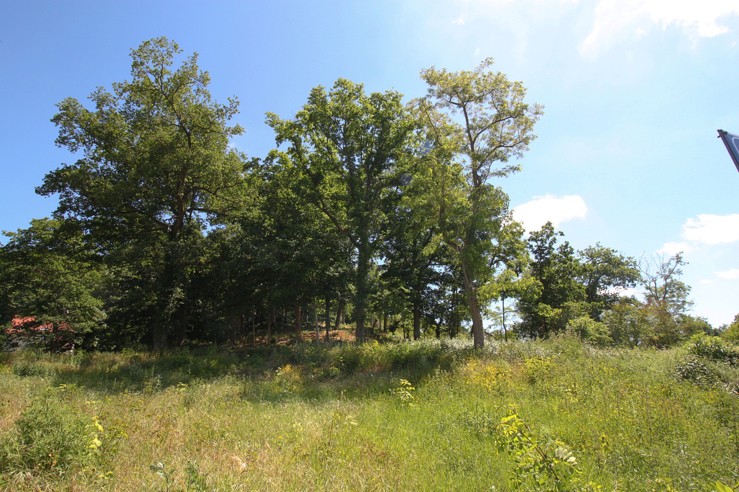 Achat immobilier Terrain   861m2 à Sainte-Mesme (78730) - Photo n°5