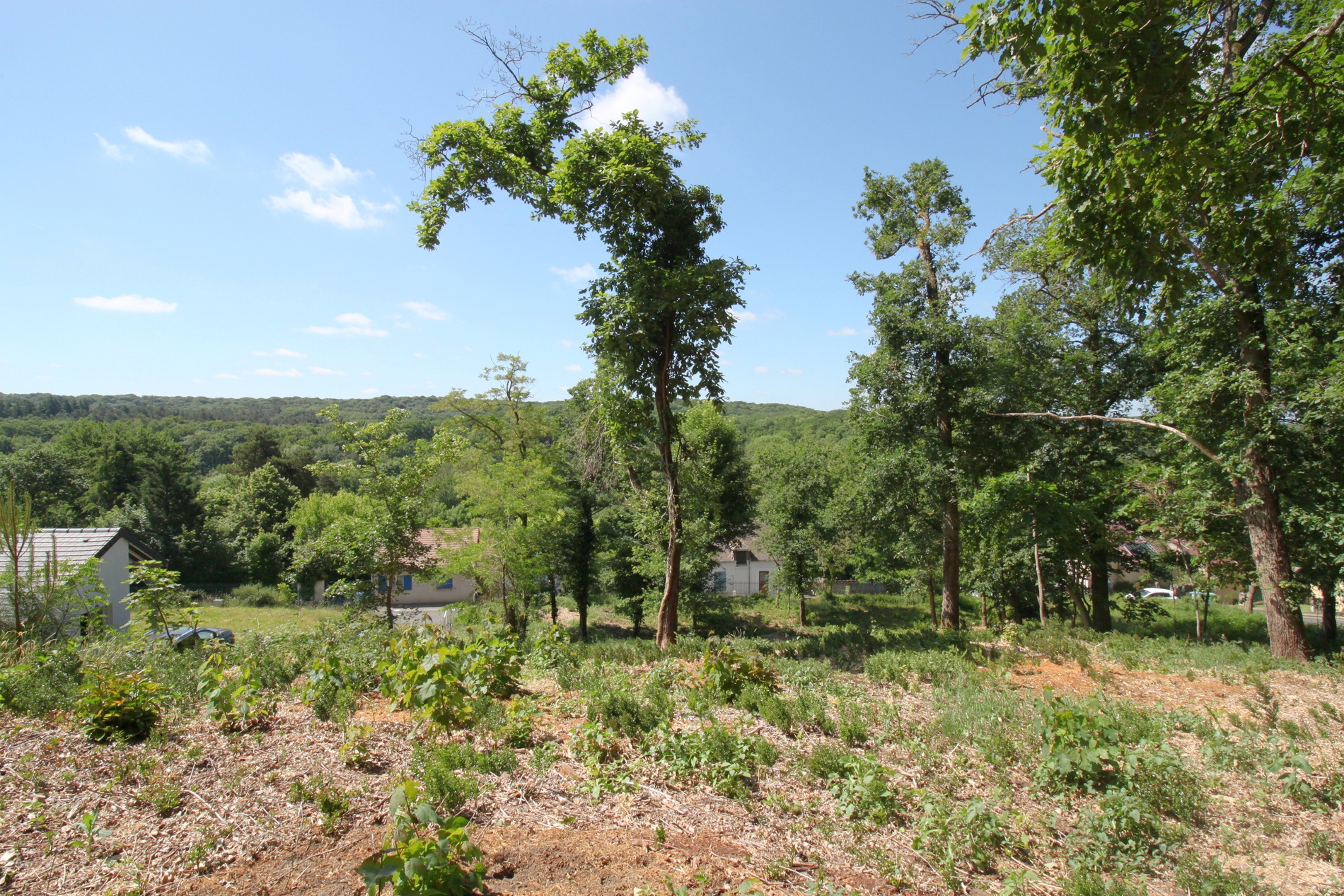 terrain  - 861m2 à Sainte-Mesme (78730)