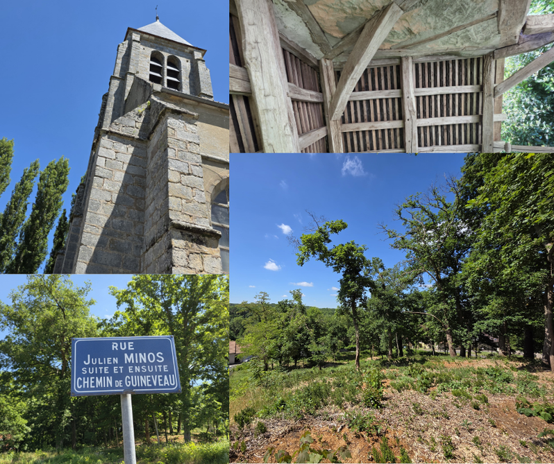 Achat immobilier Terrain   1146m2 à Sainte-Mesme (78730) - Photo n°7