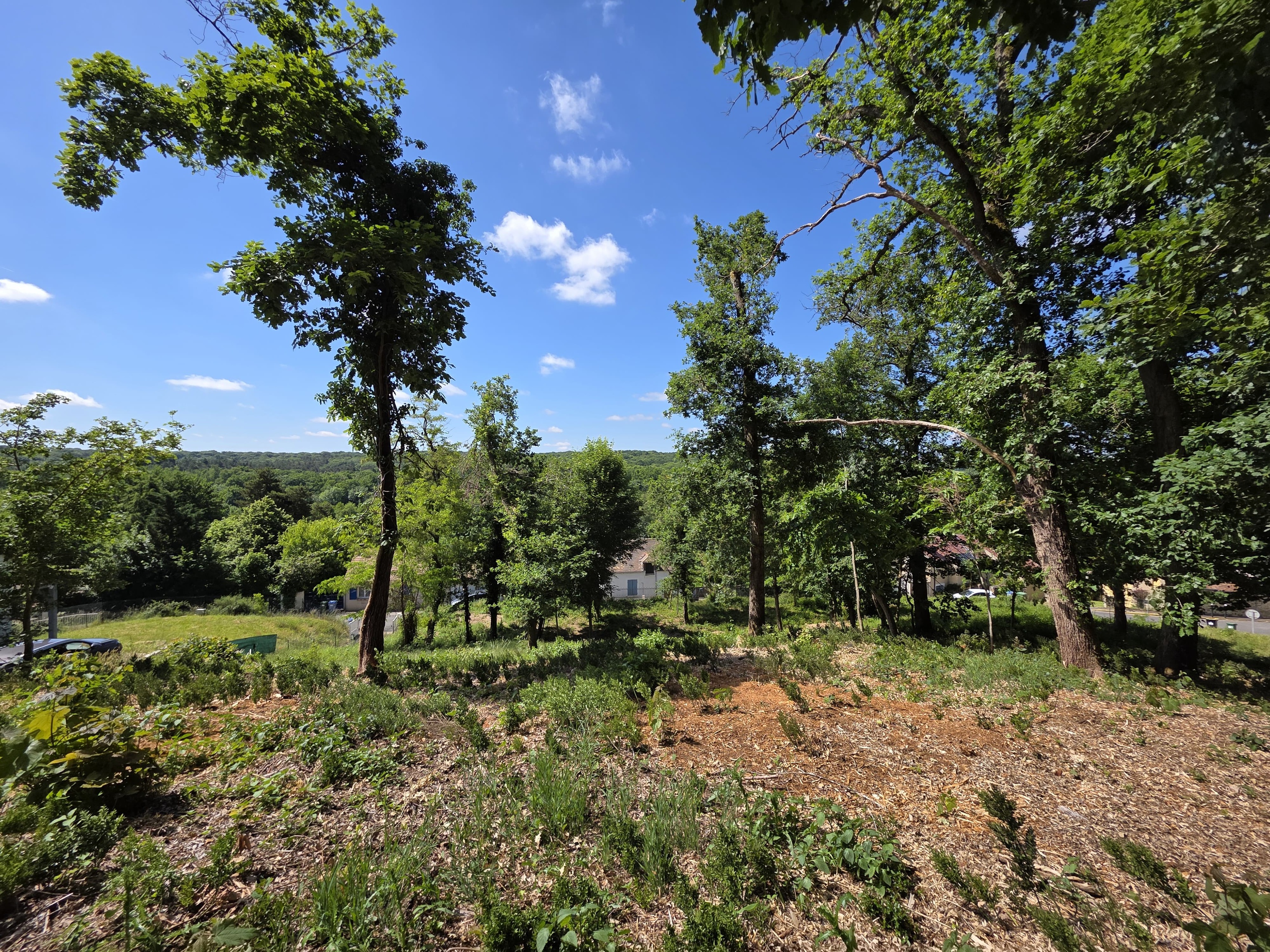 Achat immobilier Terrain   1146m2 à Sainte-Mesme (78730) - Photo n°5