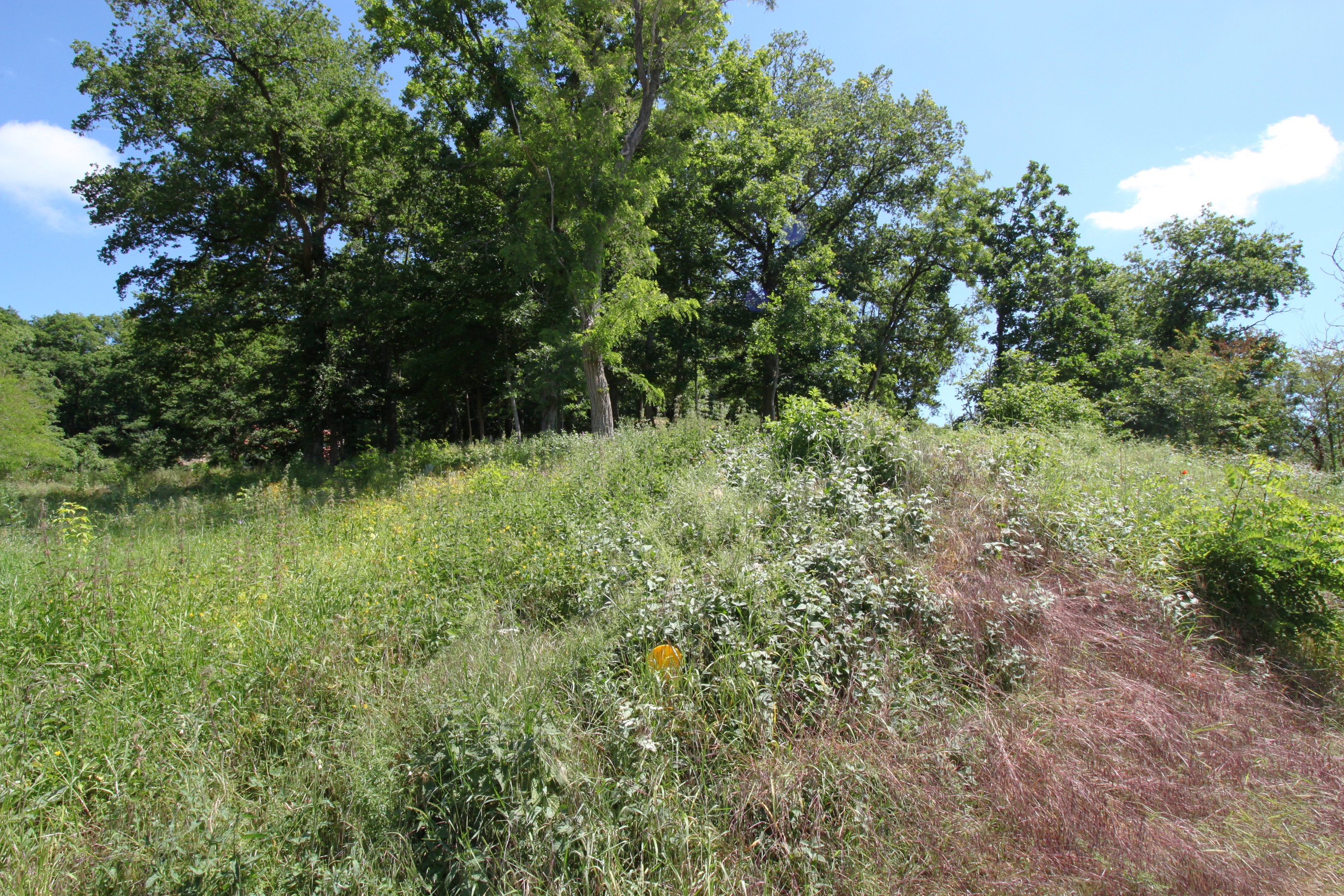 Achat immobilier Terrain   1146m2 à Sainte-Mesme (78730) - Photo n°9