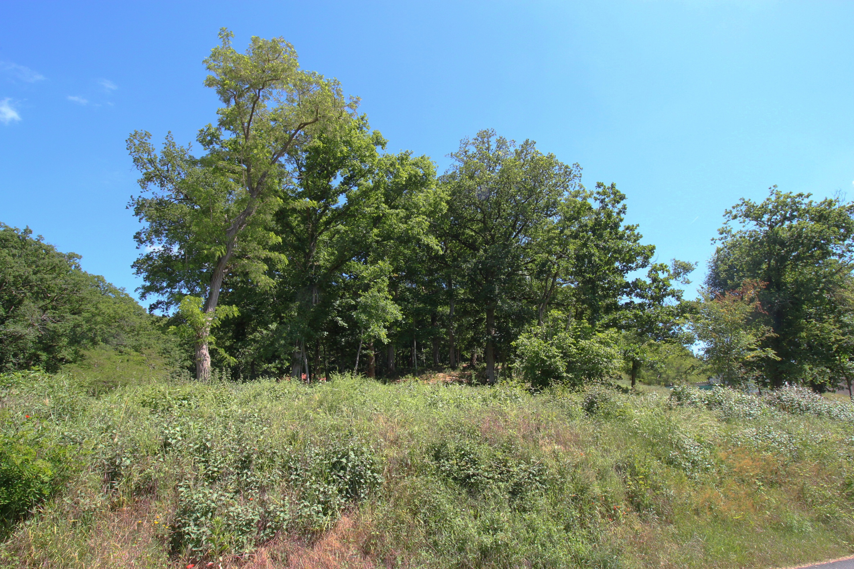 Achat immobilier Terrain   1146m2 à Sainte-Mesme (78730) - Photo n°10