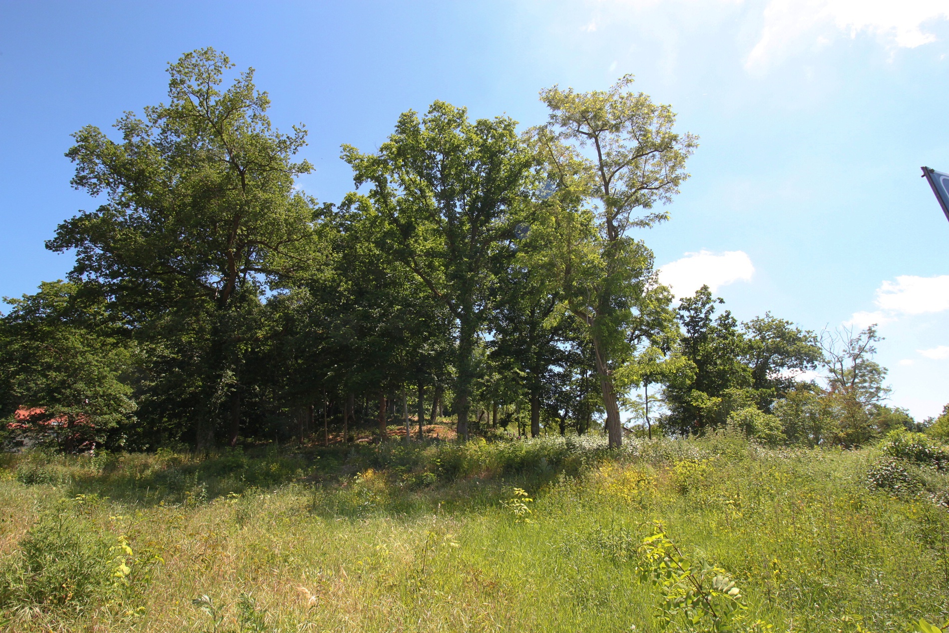 terrain  - 1146m2 à Sainte-Mesme (78730)