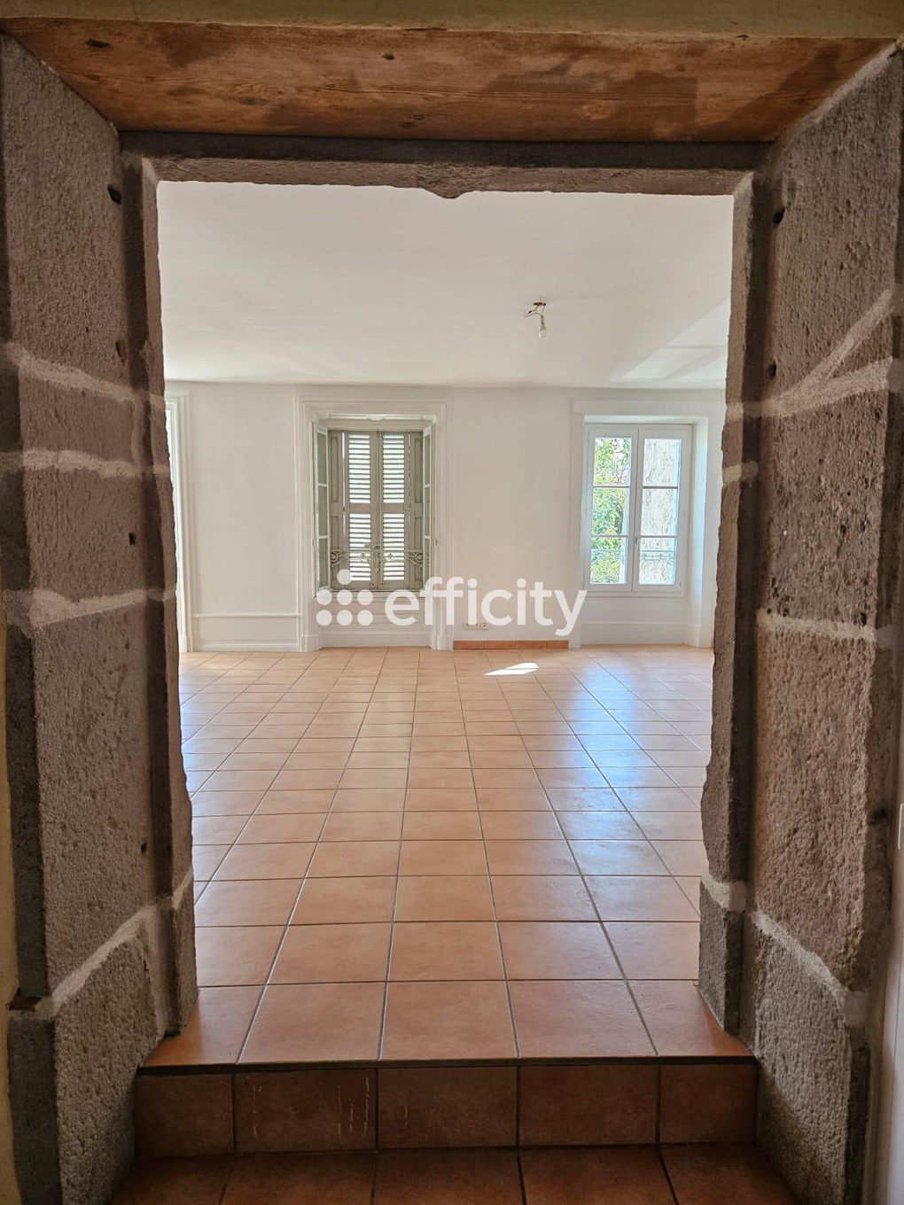 Achat immobilier Appartement 5 pièces  132m2 à Saint-Just-Saint-Rambert (42170) - Photo n°6